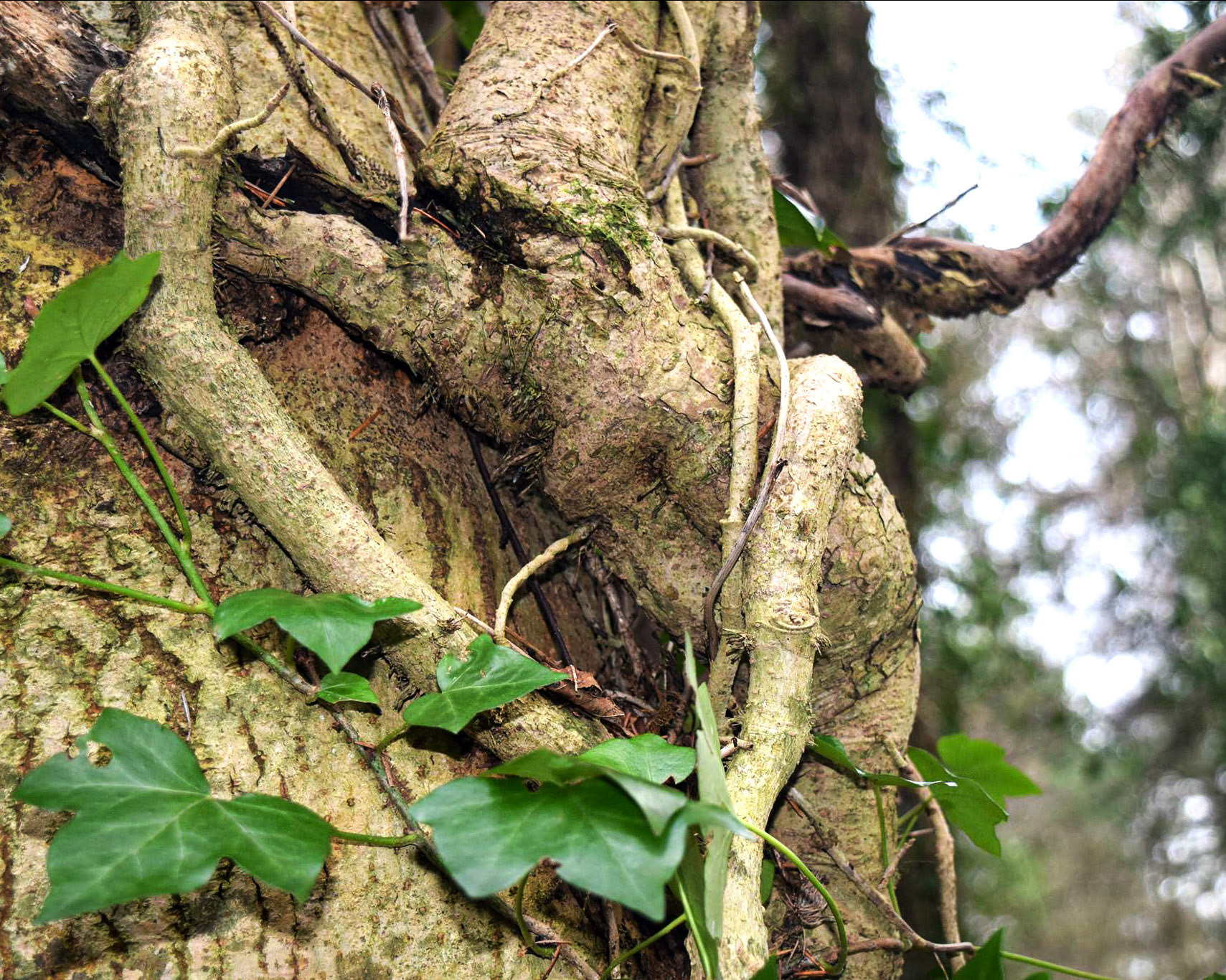 The Love That Flows Through Us