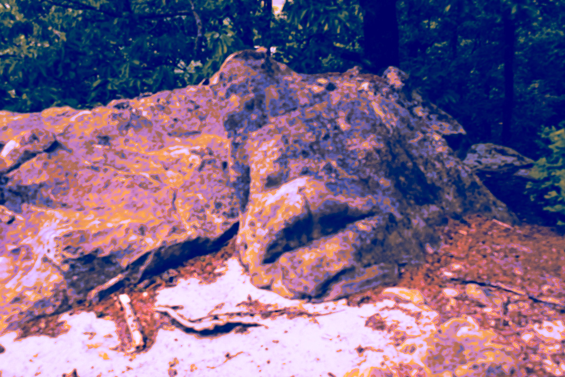 Creature