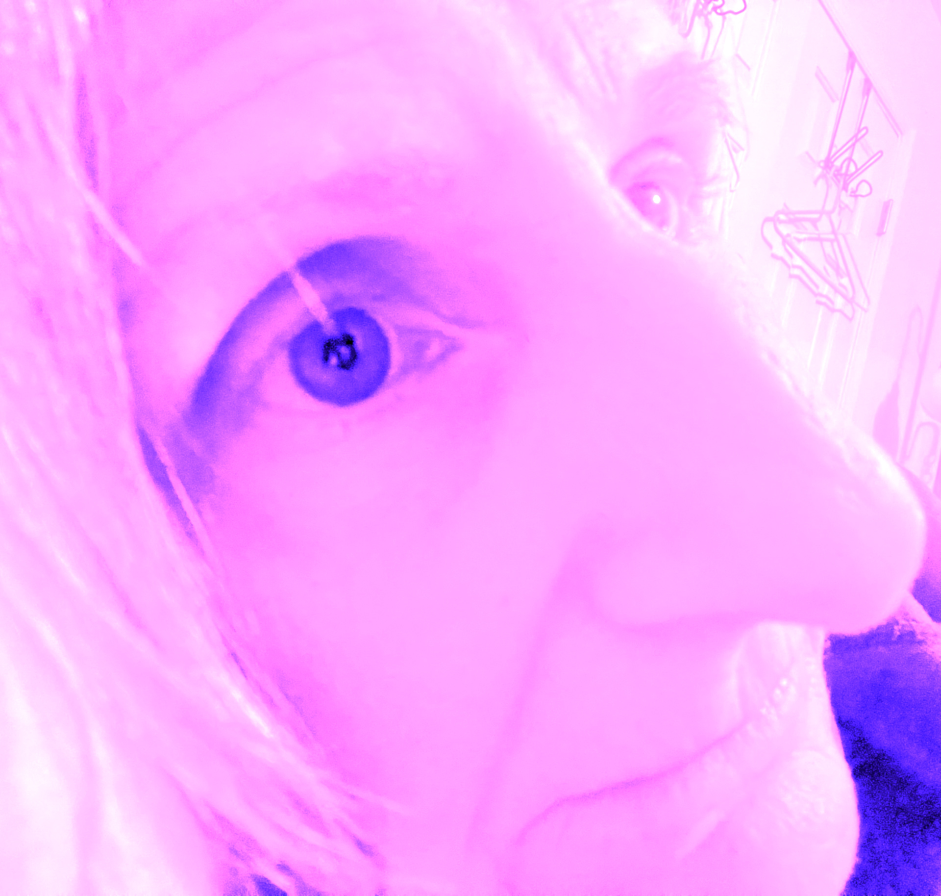 EYE RECALL—The Horror of Her Hanging