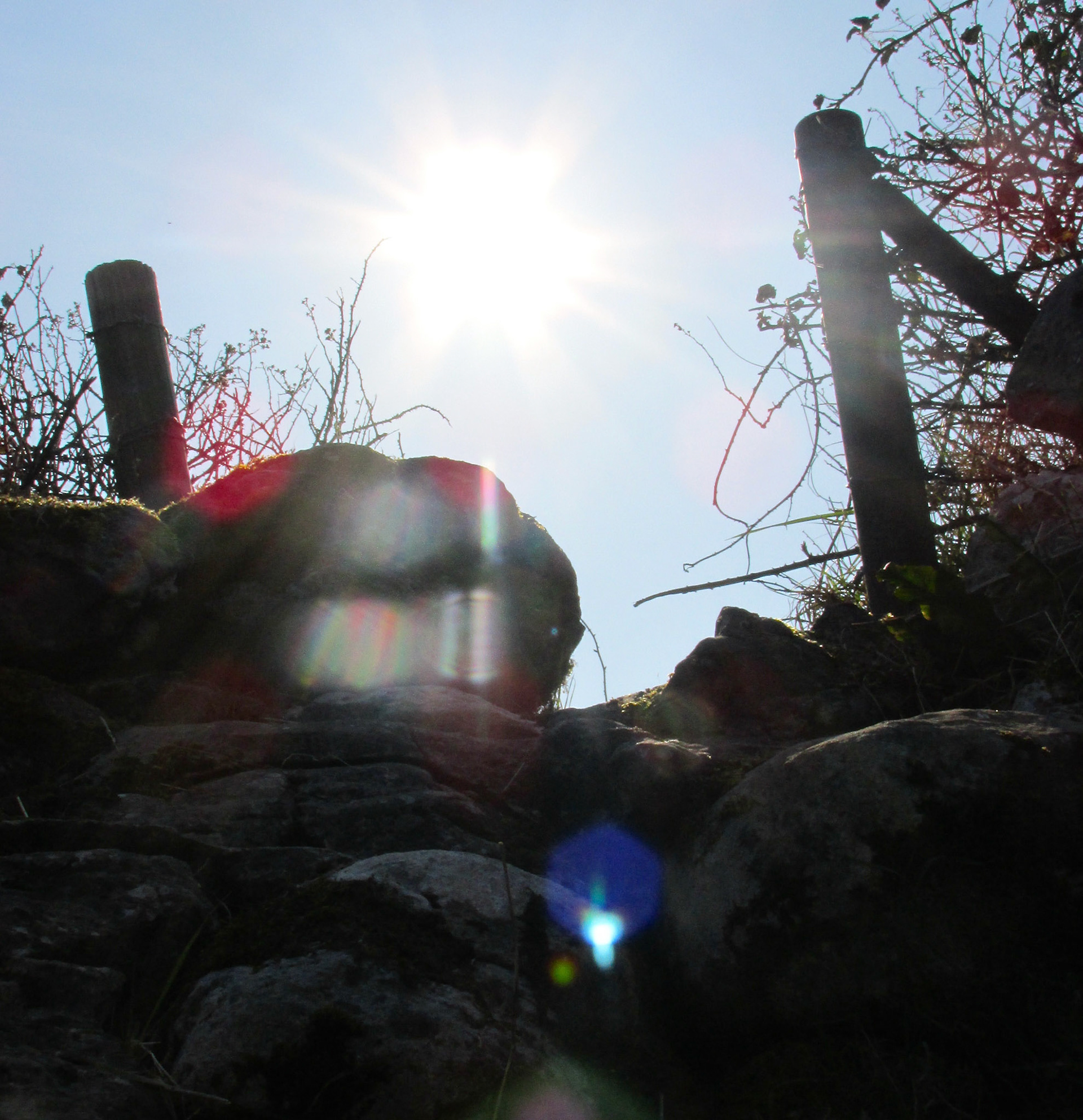 Sun Shower and the Blue Orb Visitor