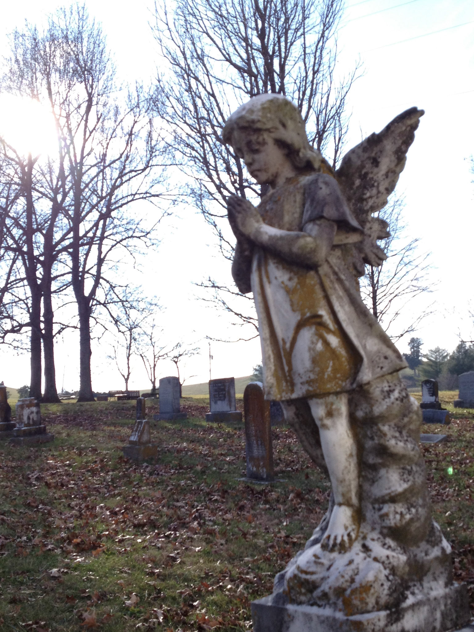 Angel in the Cemetery