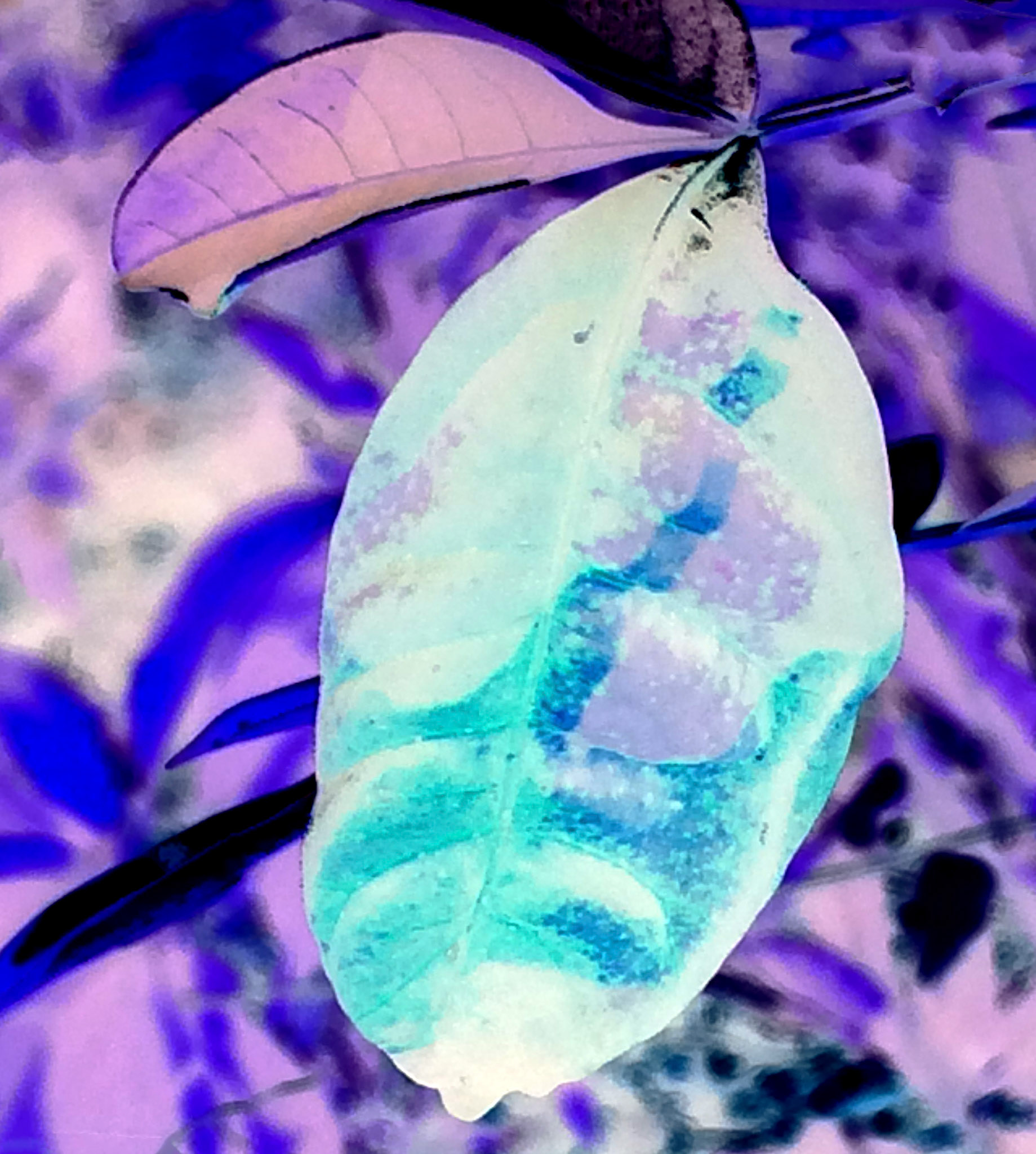 Leaf Warrior