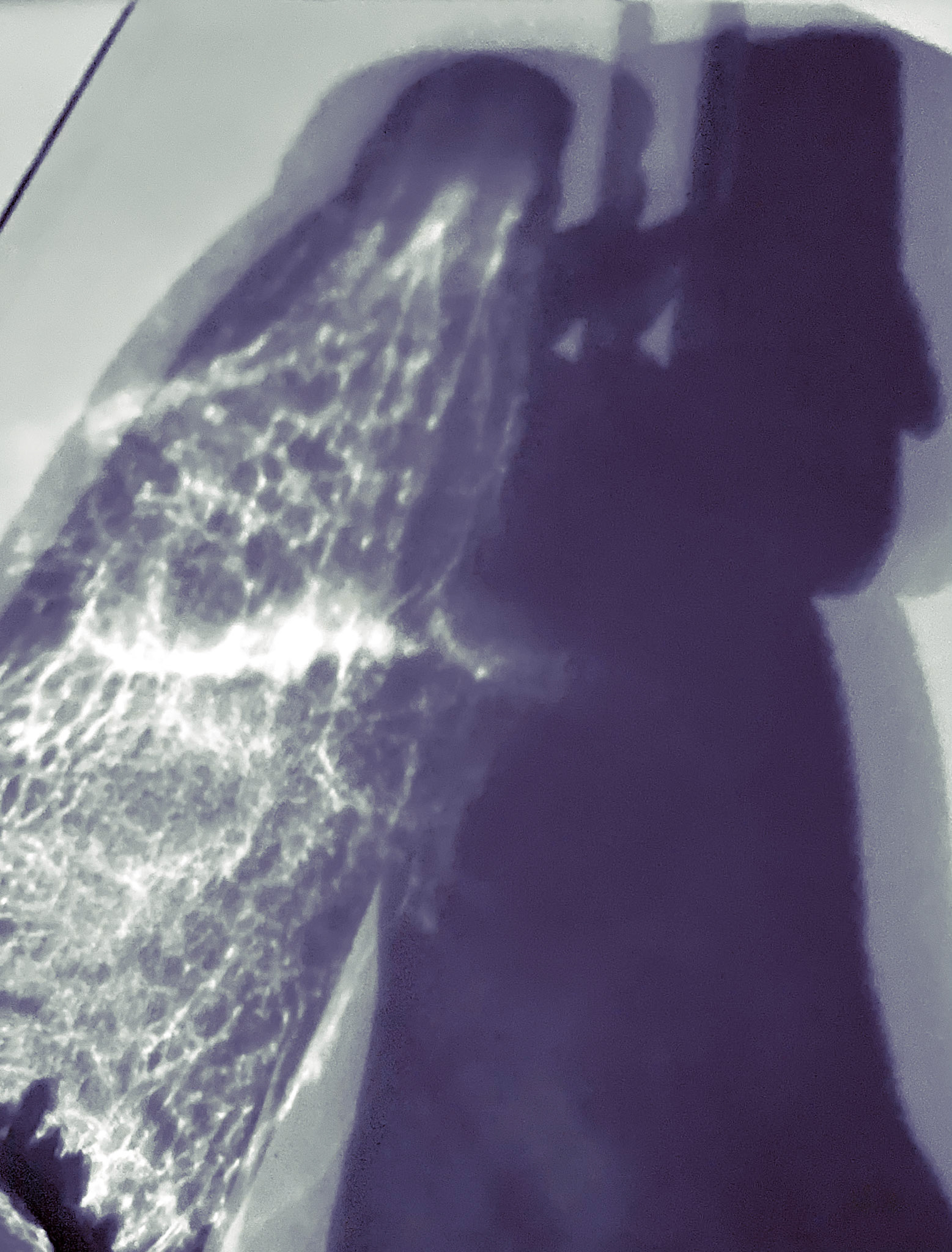 Their Perennial Conversation