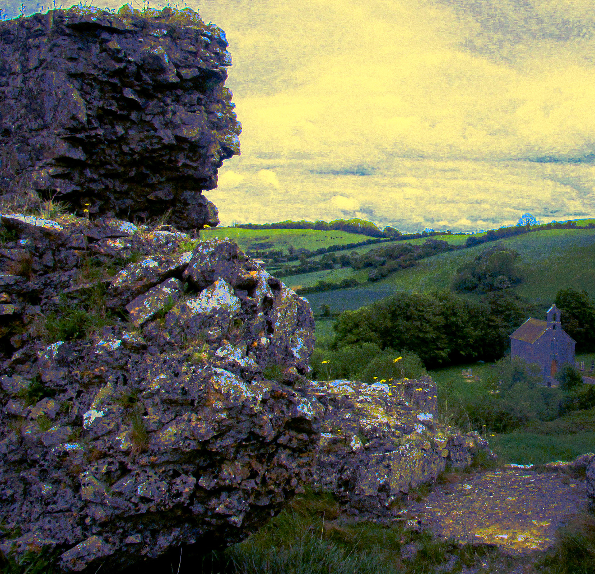Dandelions and the Distant Dream He Could Not Shake