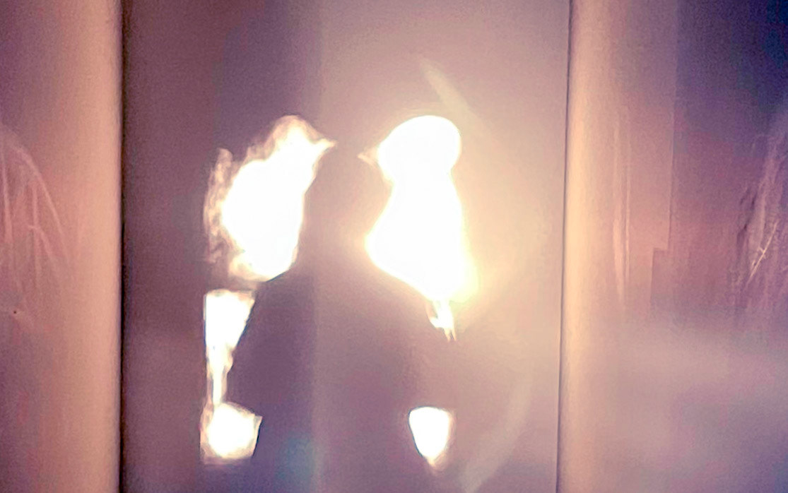 From Shadow into Light