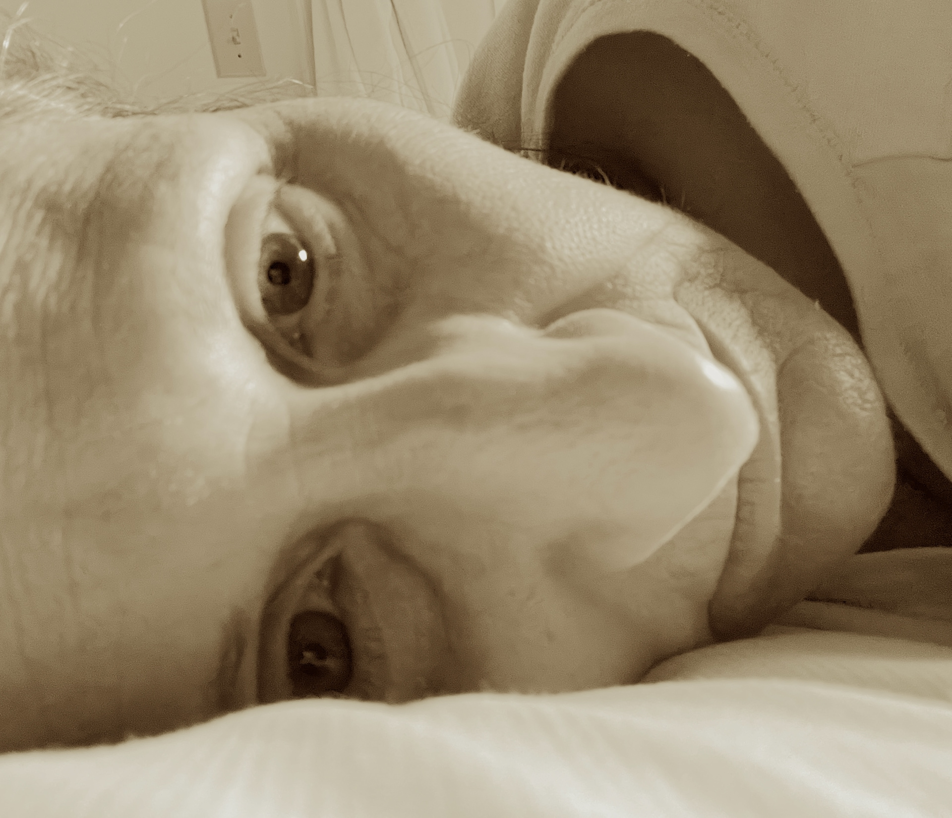 BEFORE SHE WOKE—She Dreamed She Died