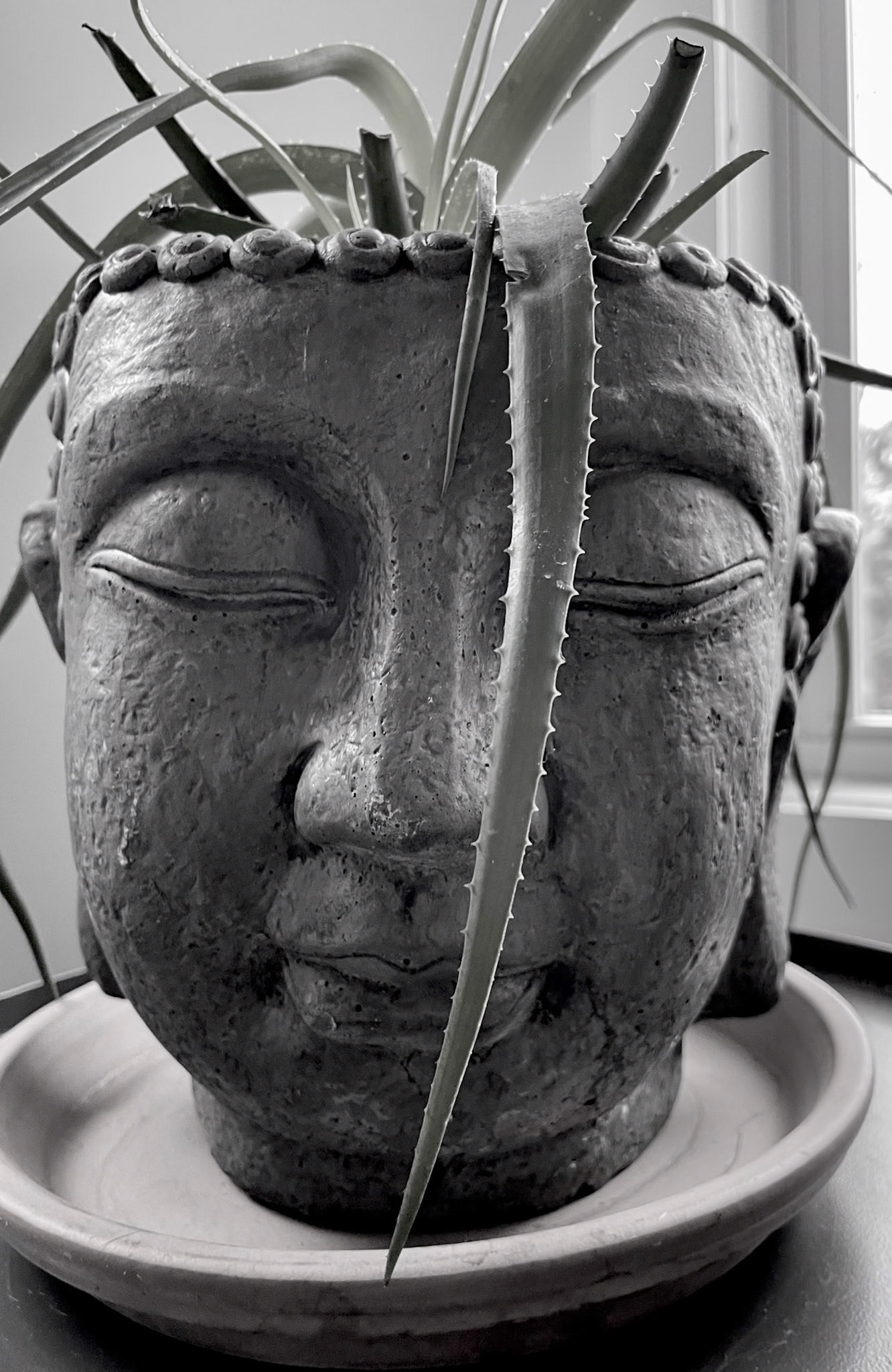 Life Is Funny That Way