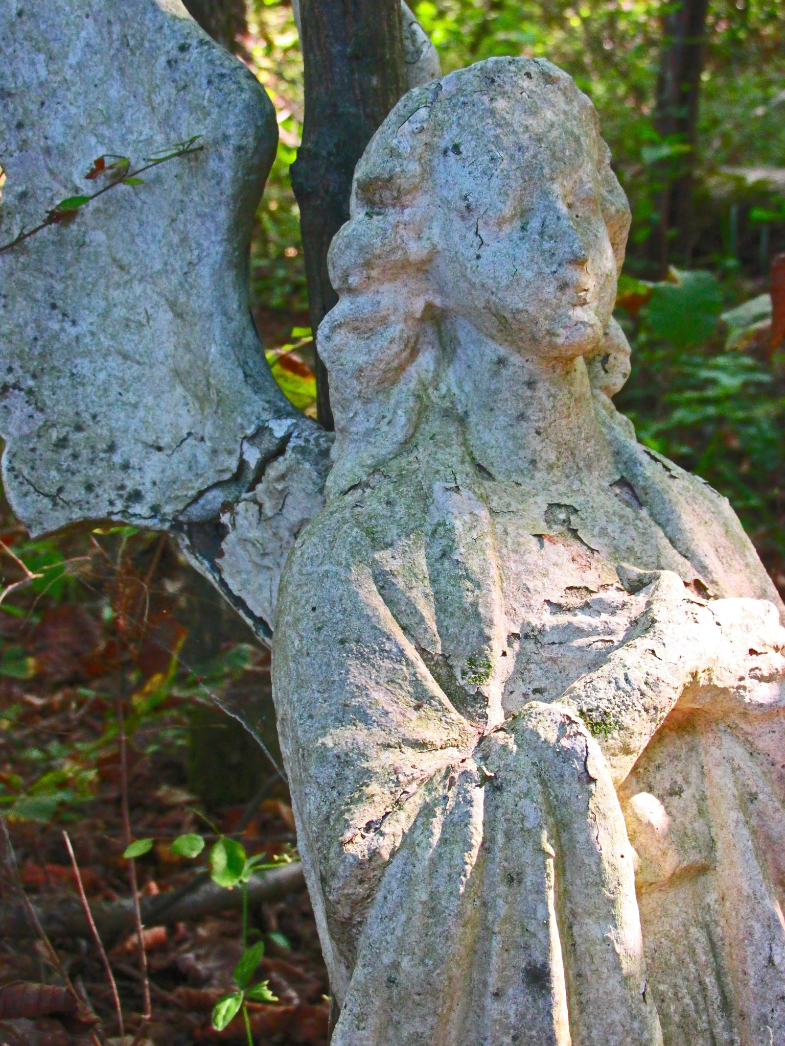 Broken Wing, Full Heart