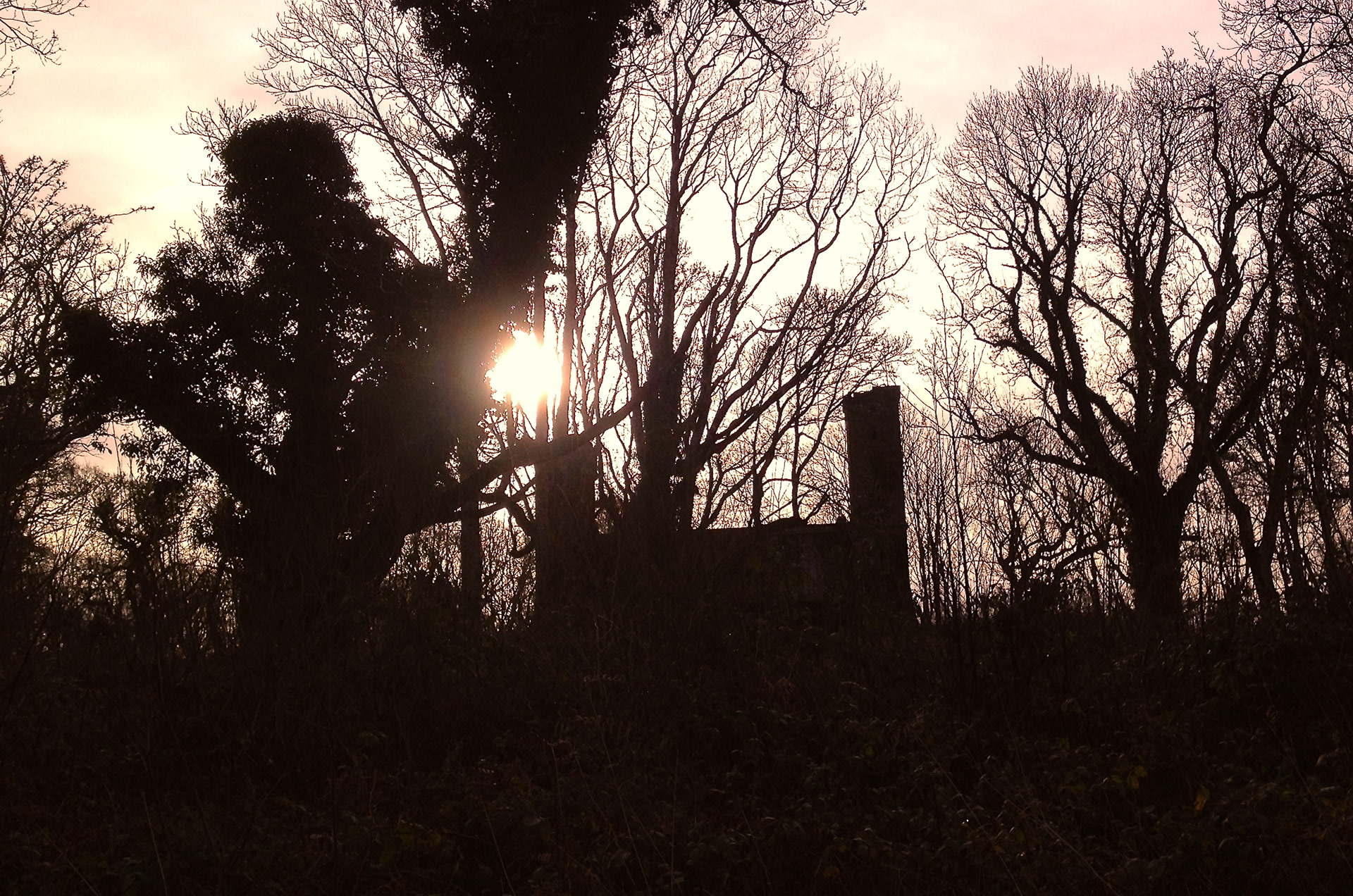 Memories of a Golden Time