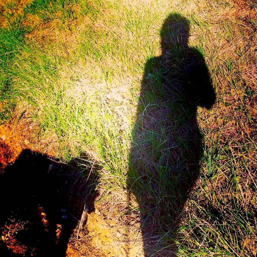 LOYALTY—Dog Day Delights
