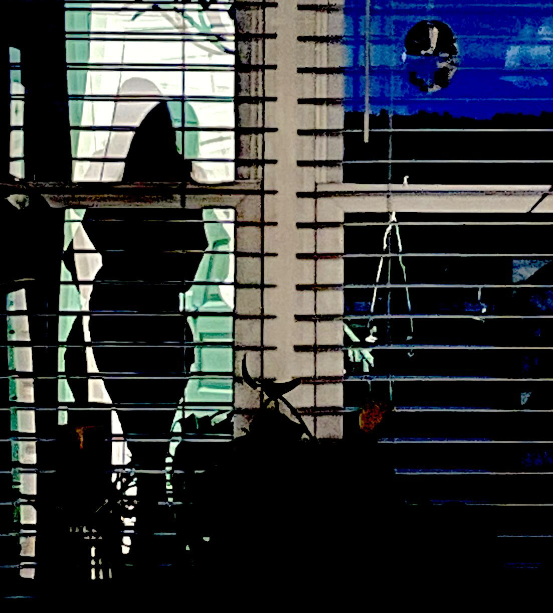 SHAPESHIFTER—Dimensions of Change