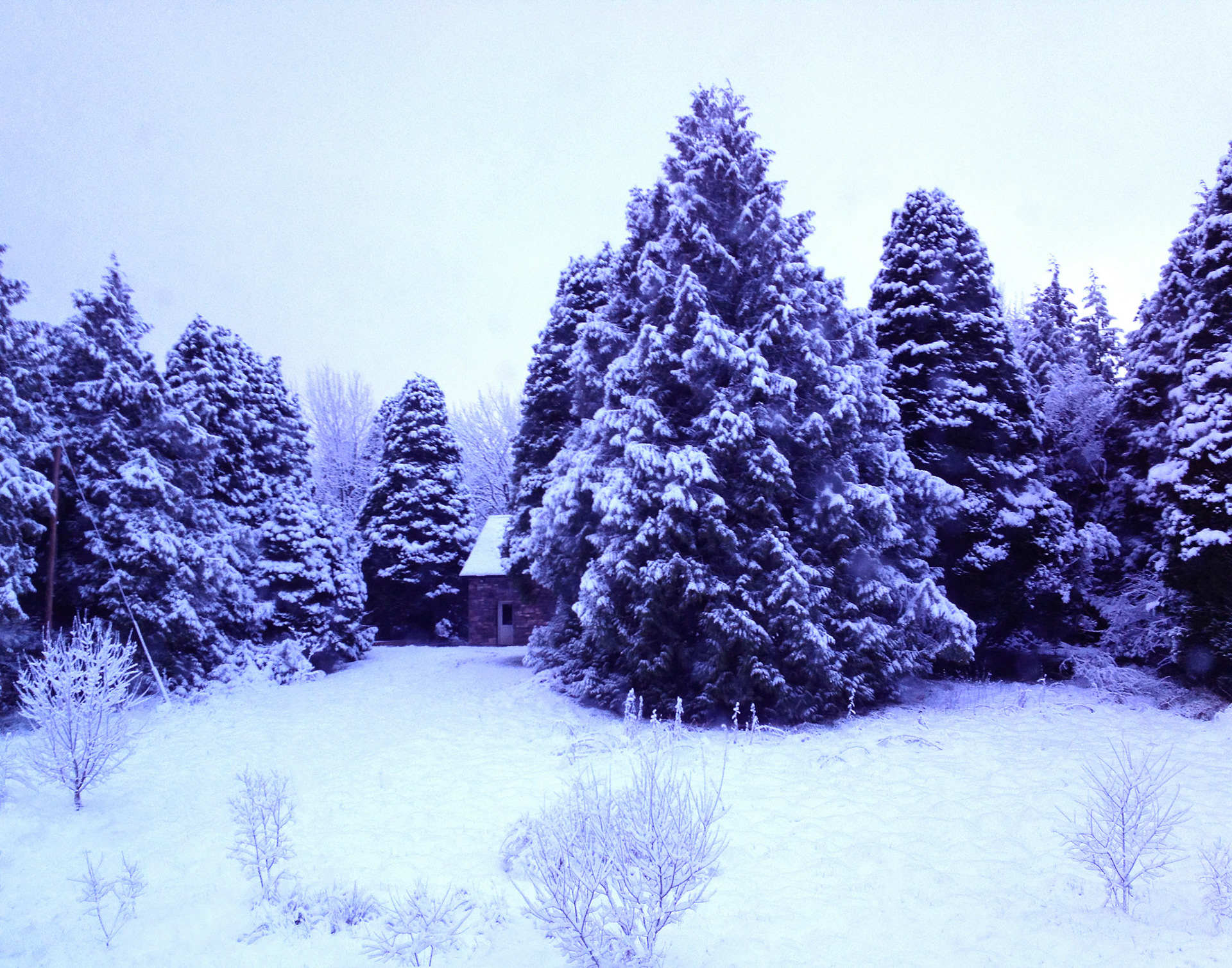 World in White