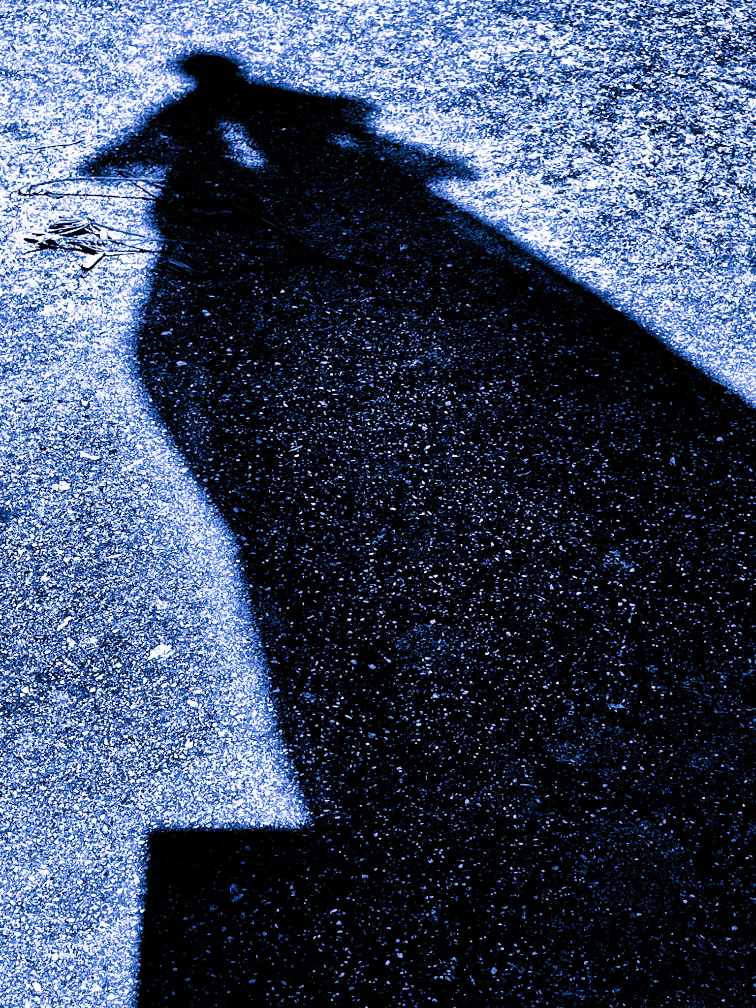 SHE WHO HOLDS THE STARS—Down to Earth Again