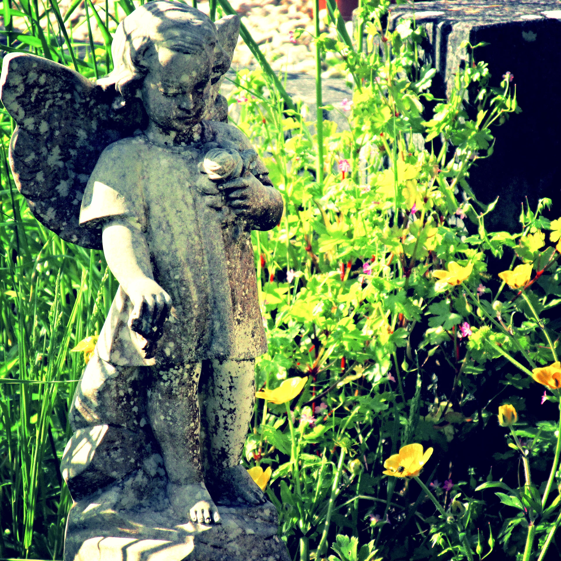 Angel in the Garden
