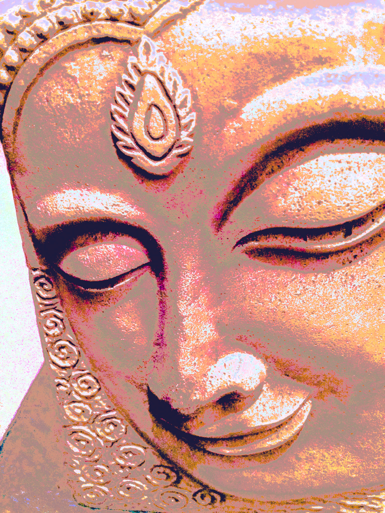 Free from Suffering