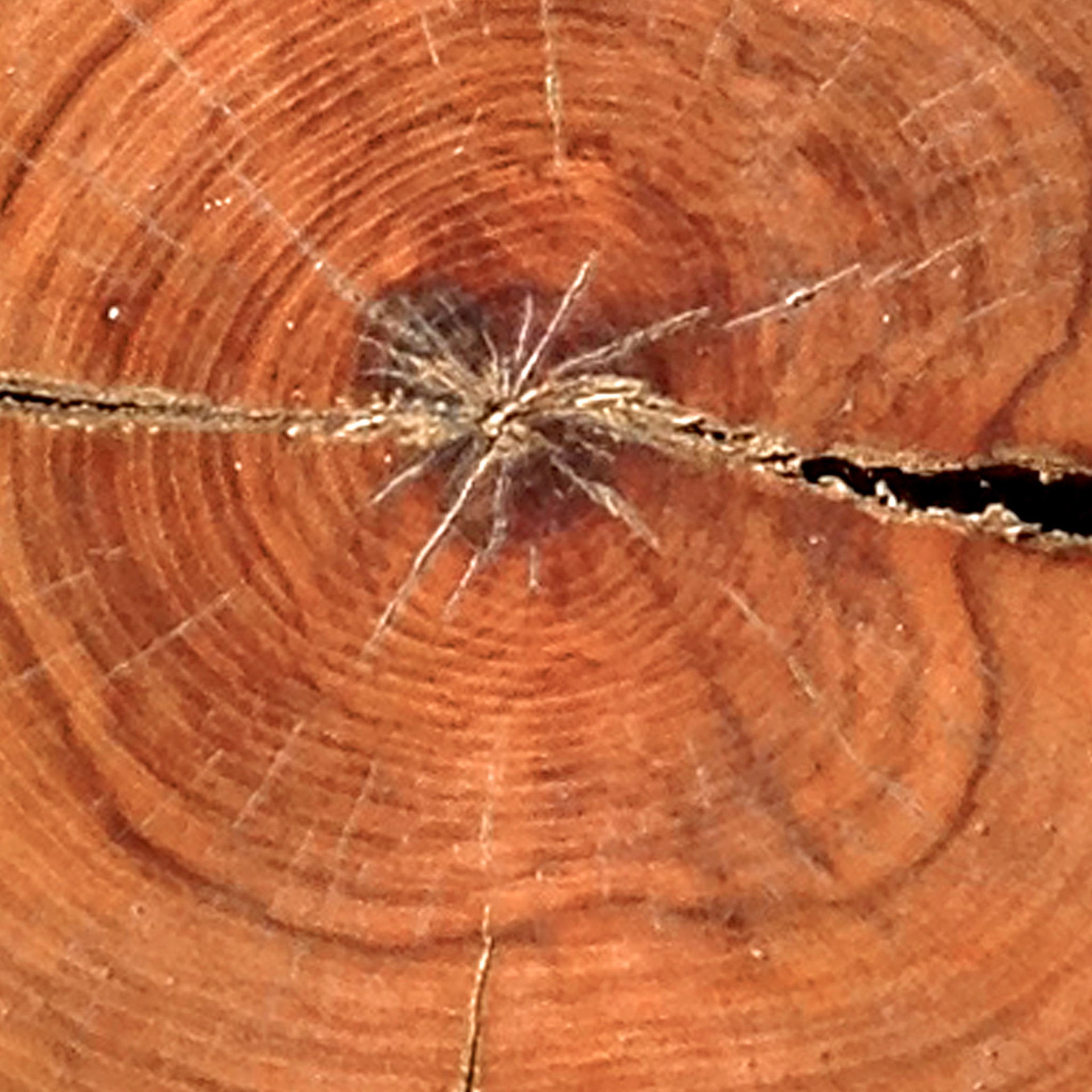 Split