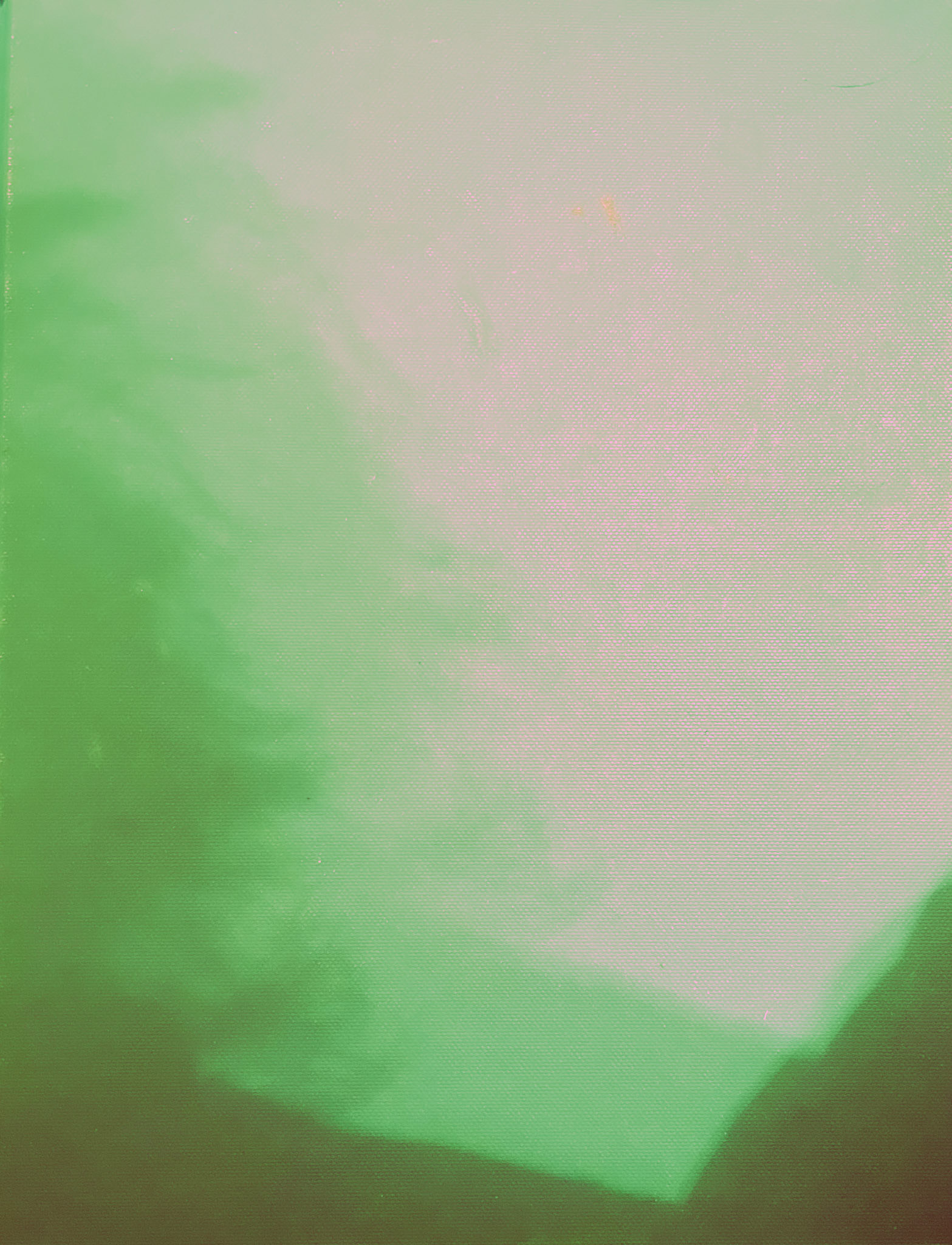 EVERGREEN—She Moves through the Trees