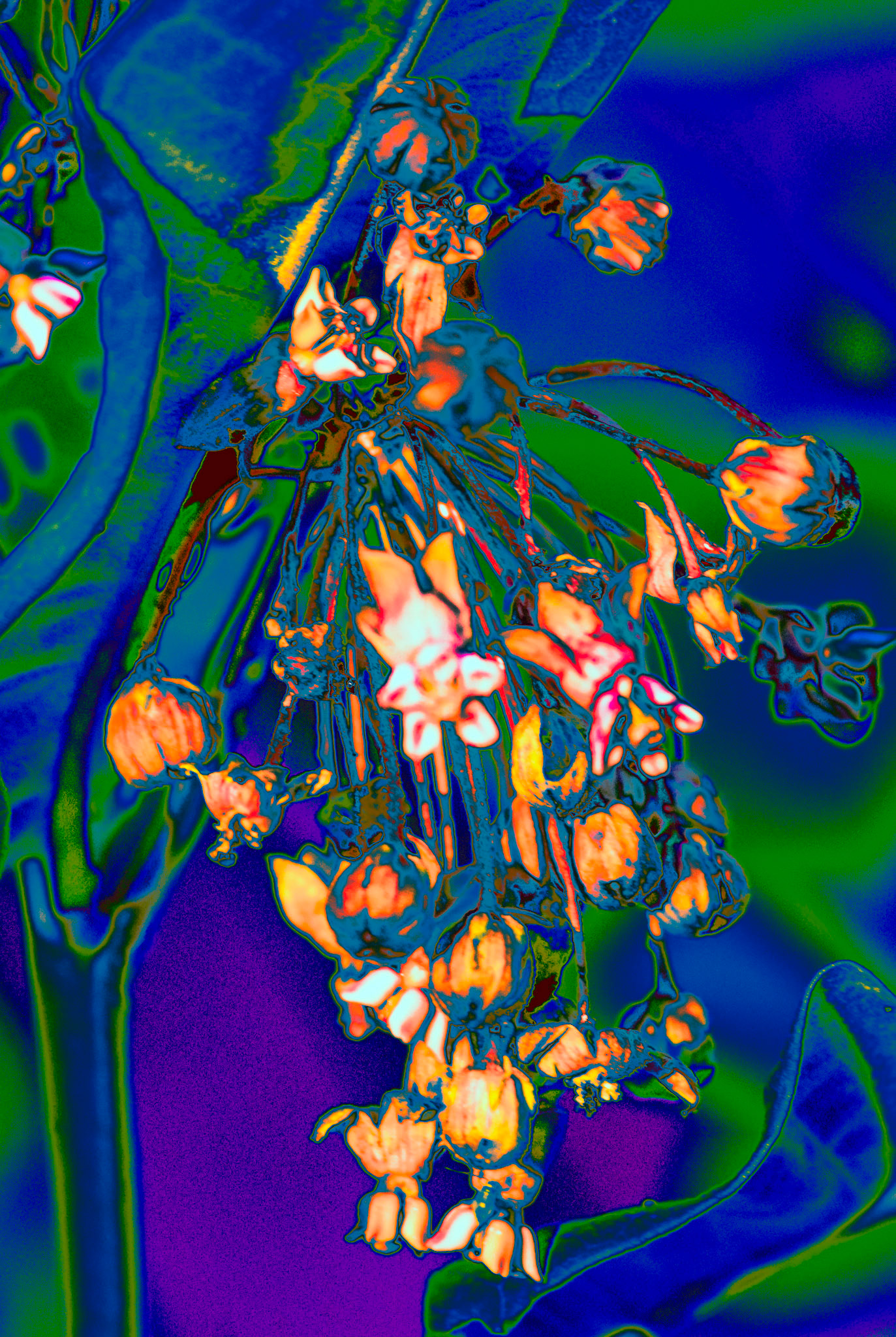 Abundance