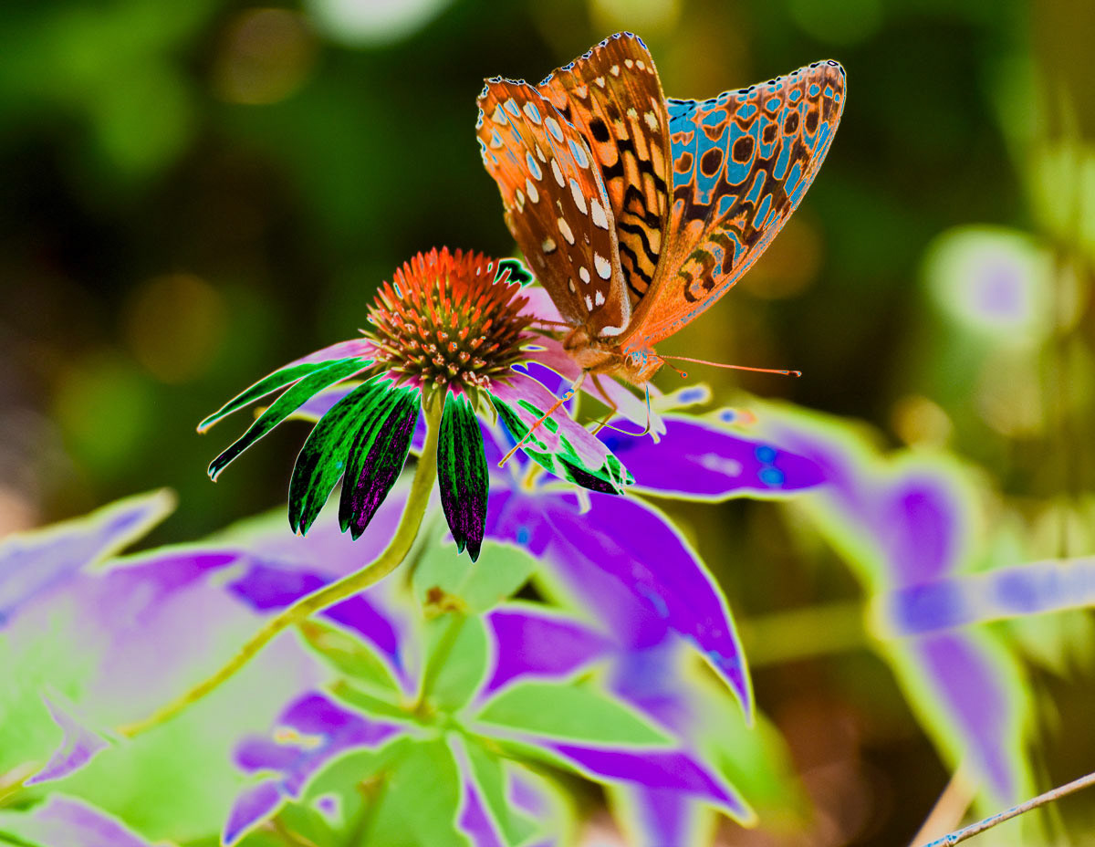 True Nature of Cooperation