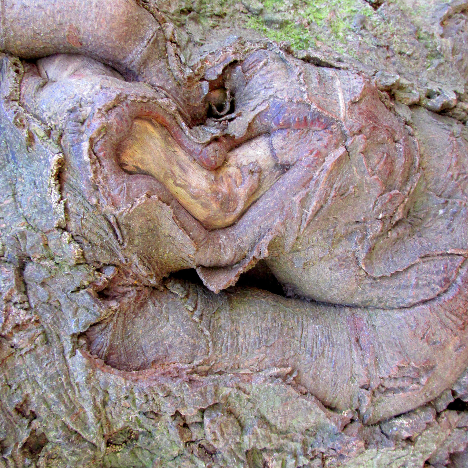 Prehistory 