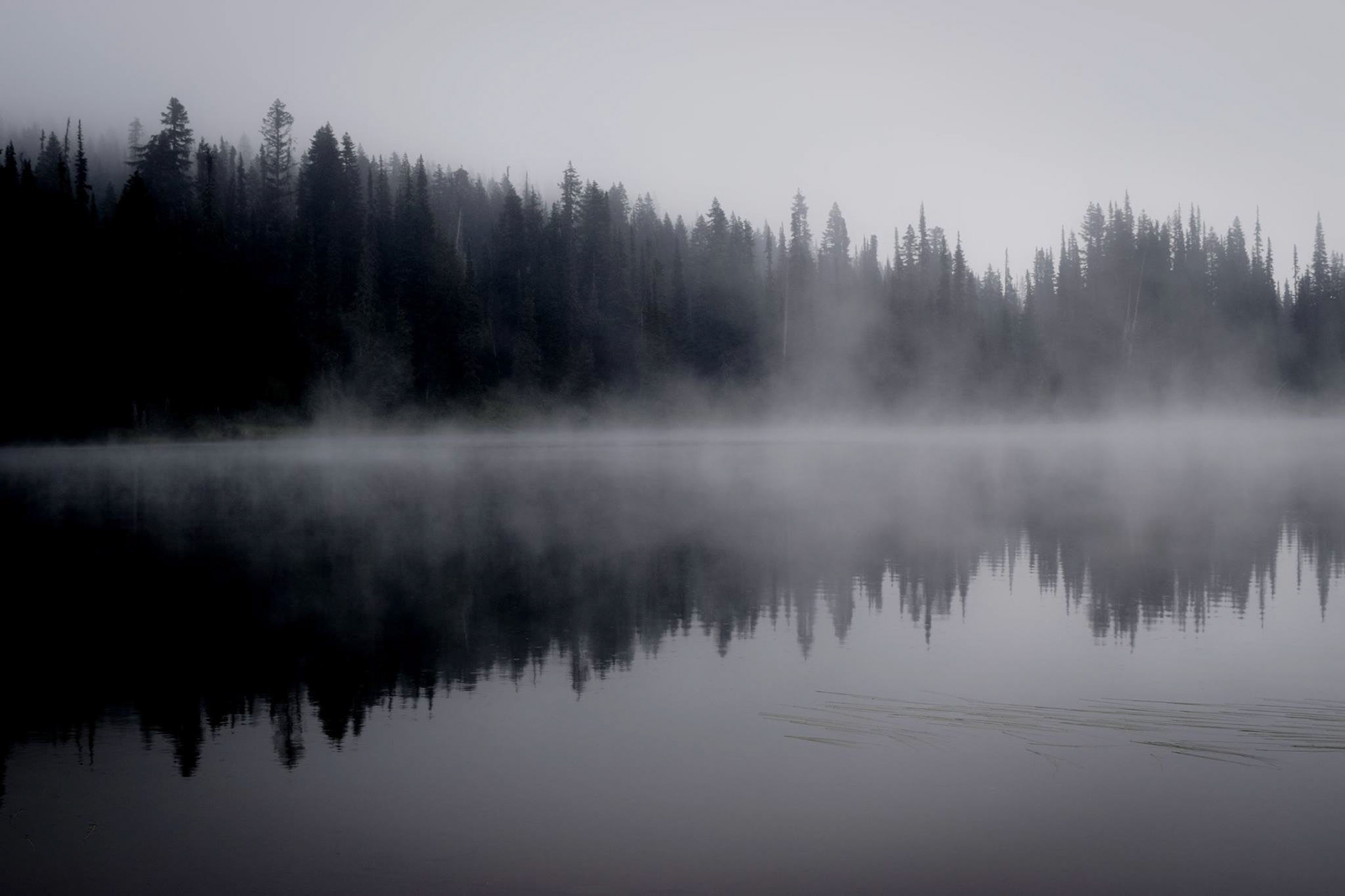 Sound of Silence