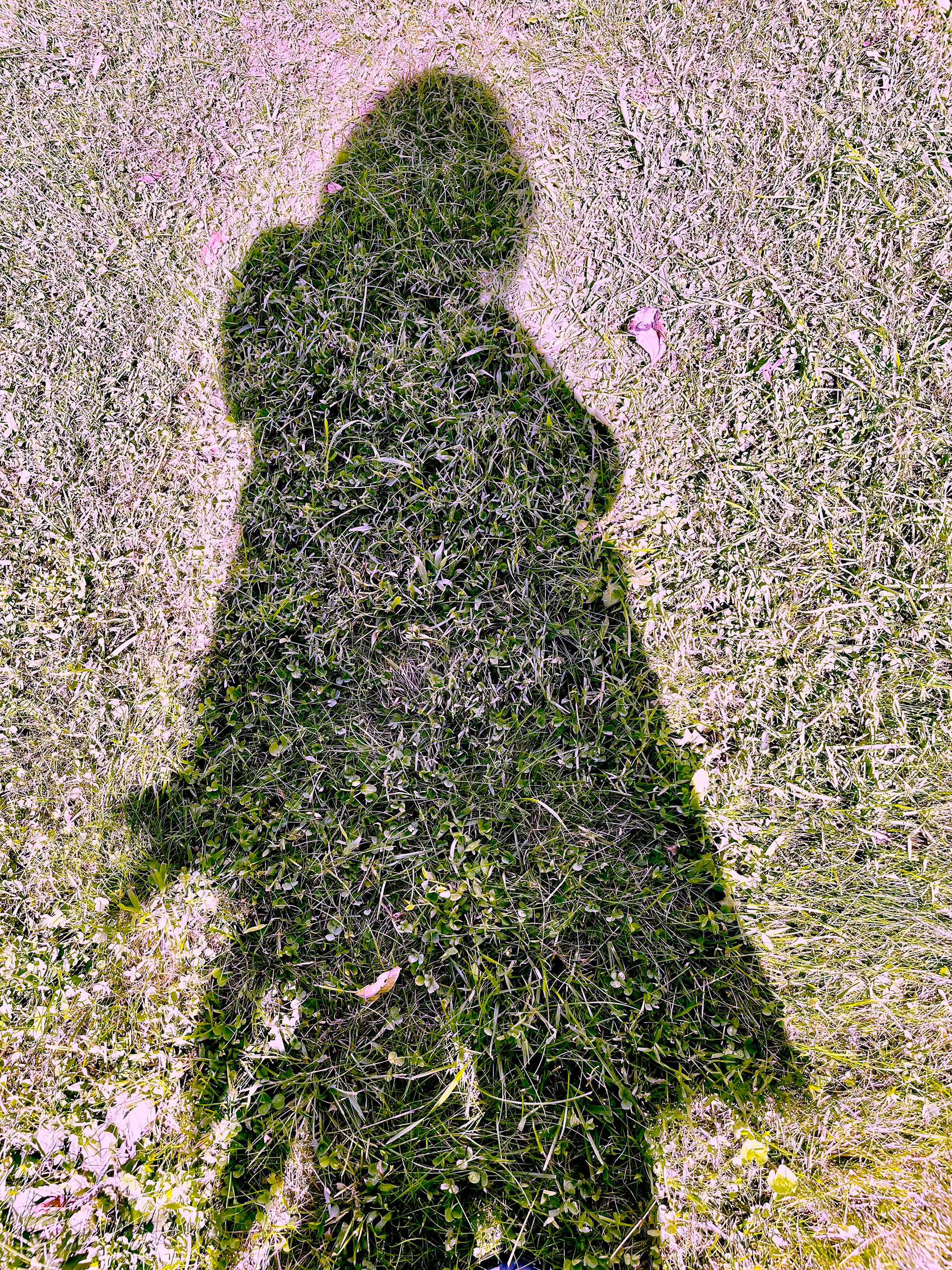 MEDICINE—Call Me Woman