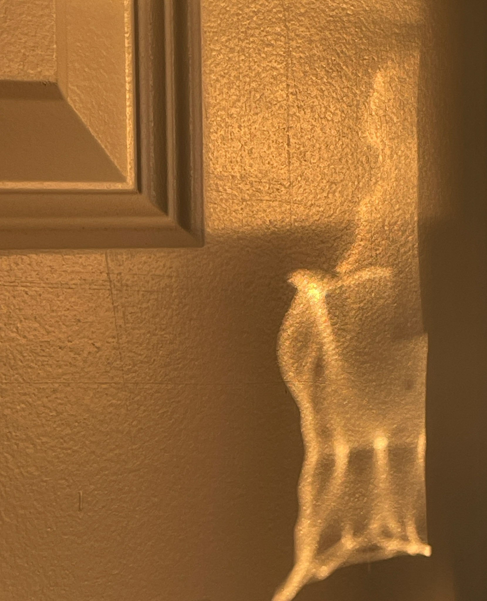 Gentle Guardian of the Grounded Feminine