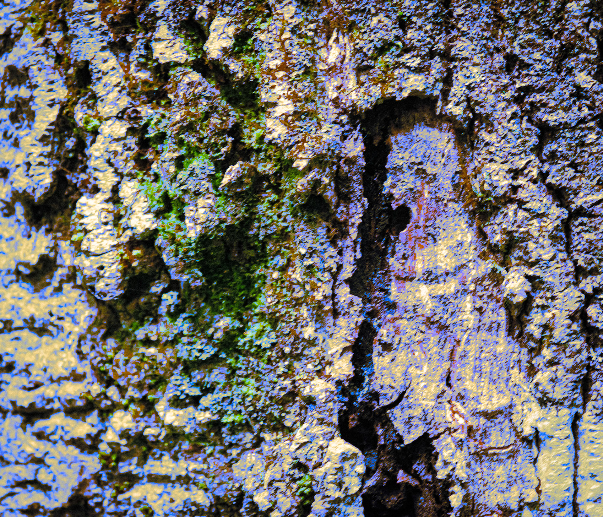 Tree of Life in a Tree of Life