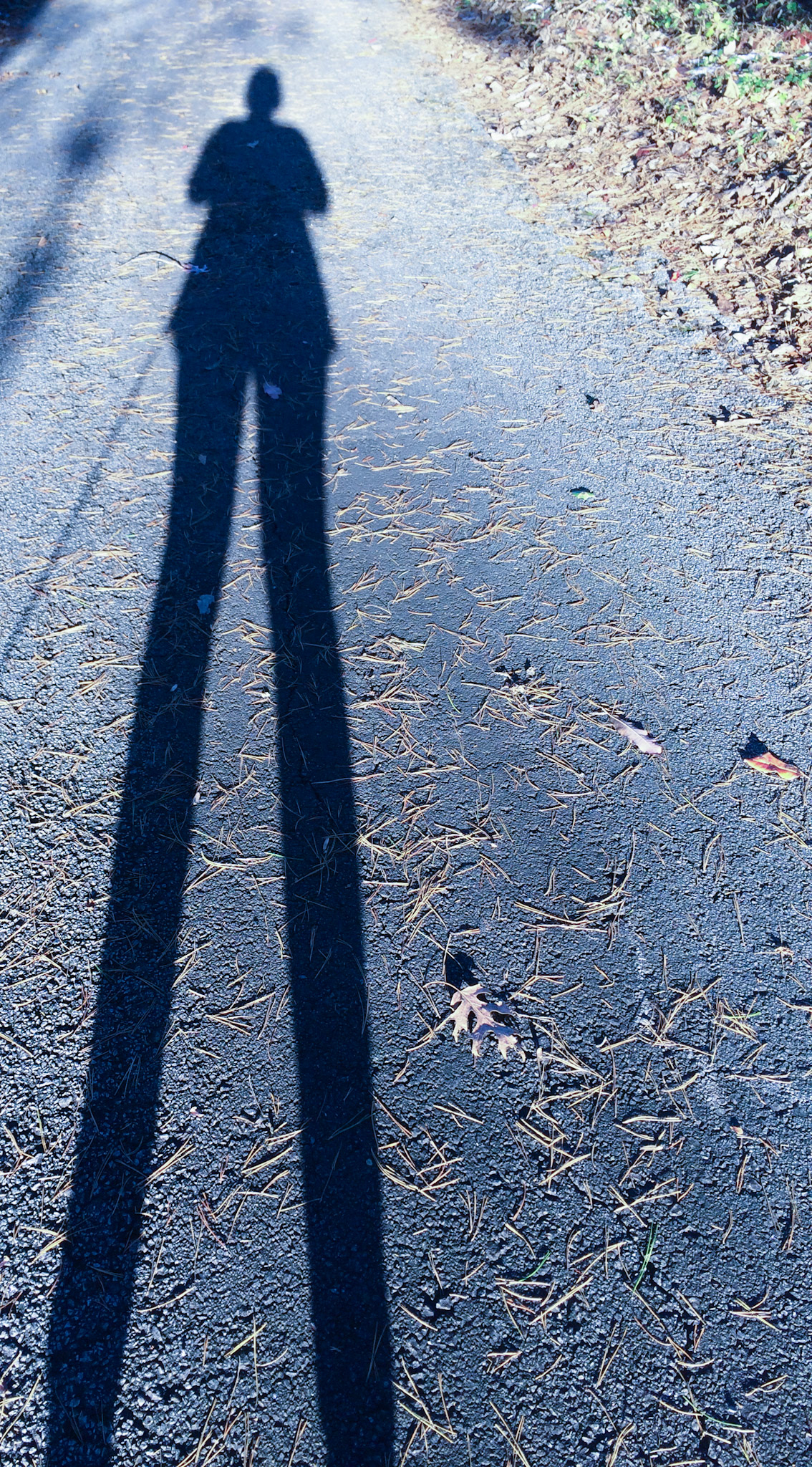 STILTED—Finding Her Feet Again