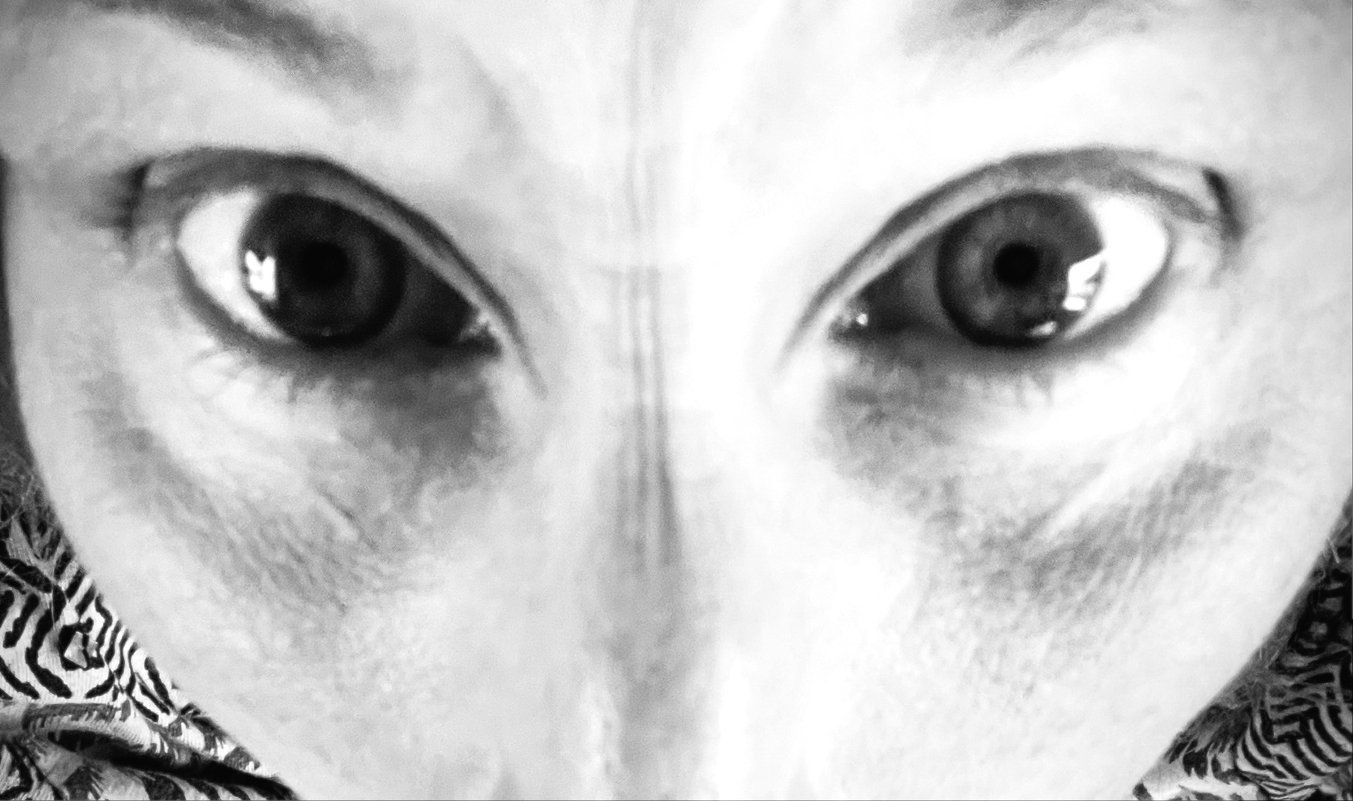 SHOCK TO THE SYSTEM—Alien Experience