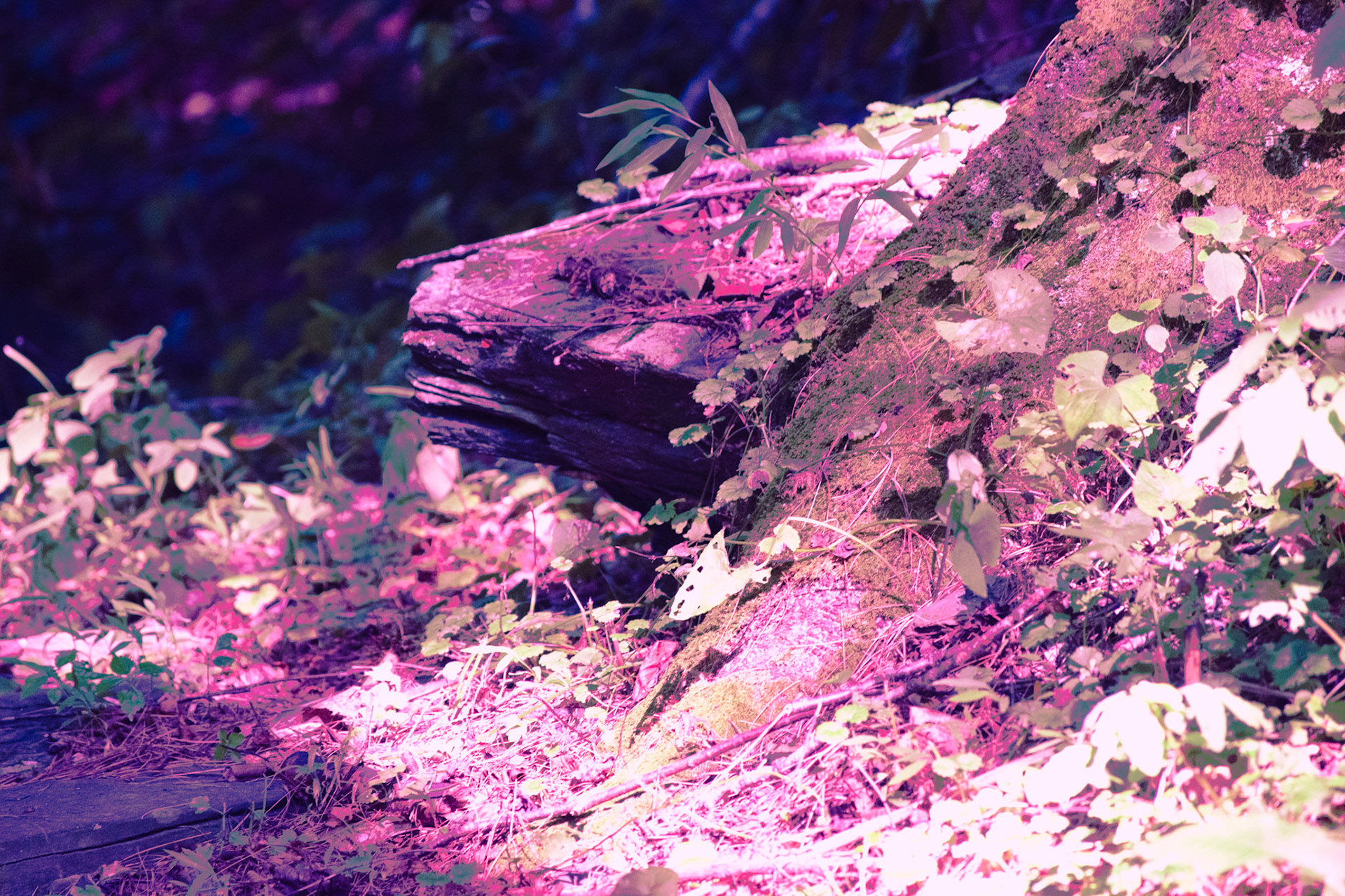 Slithering