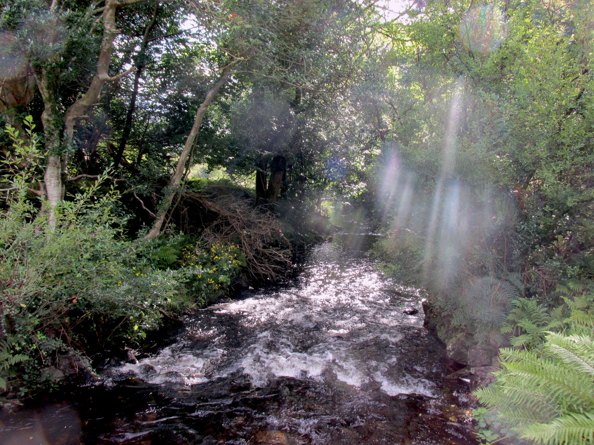 Magic Stream