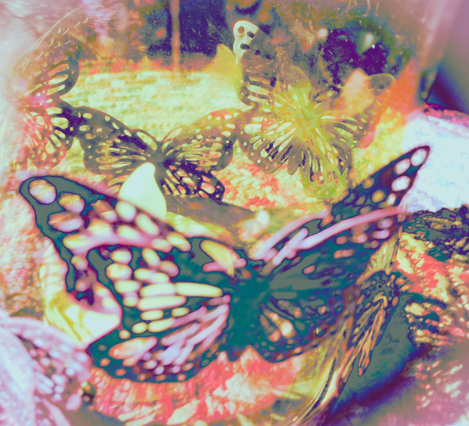 Free Flight