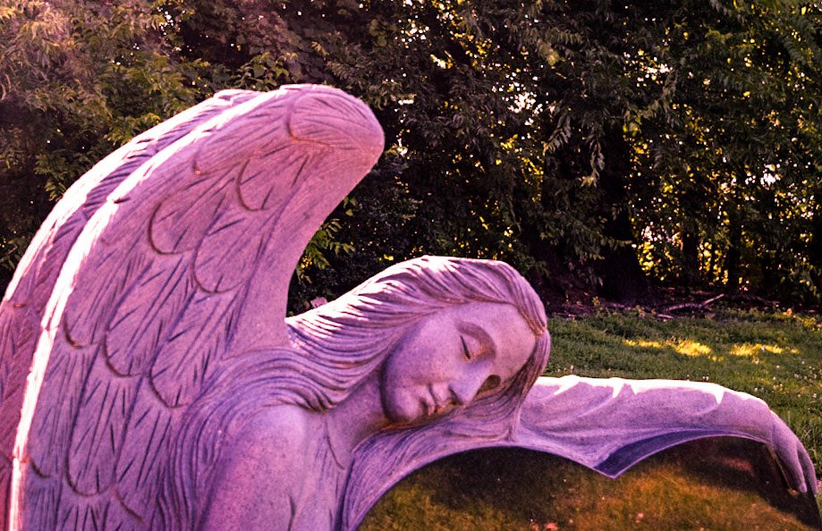 Solemnity—All That Was Severed, All That Was Saved