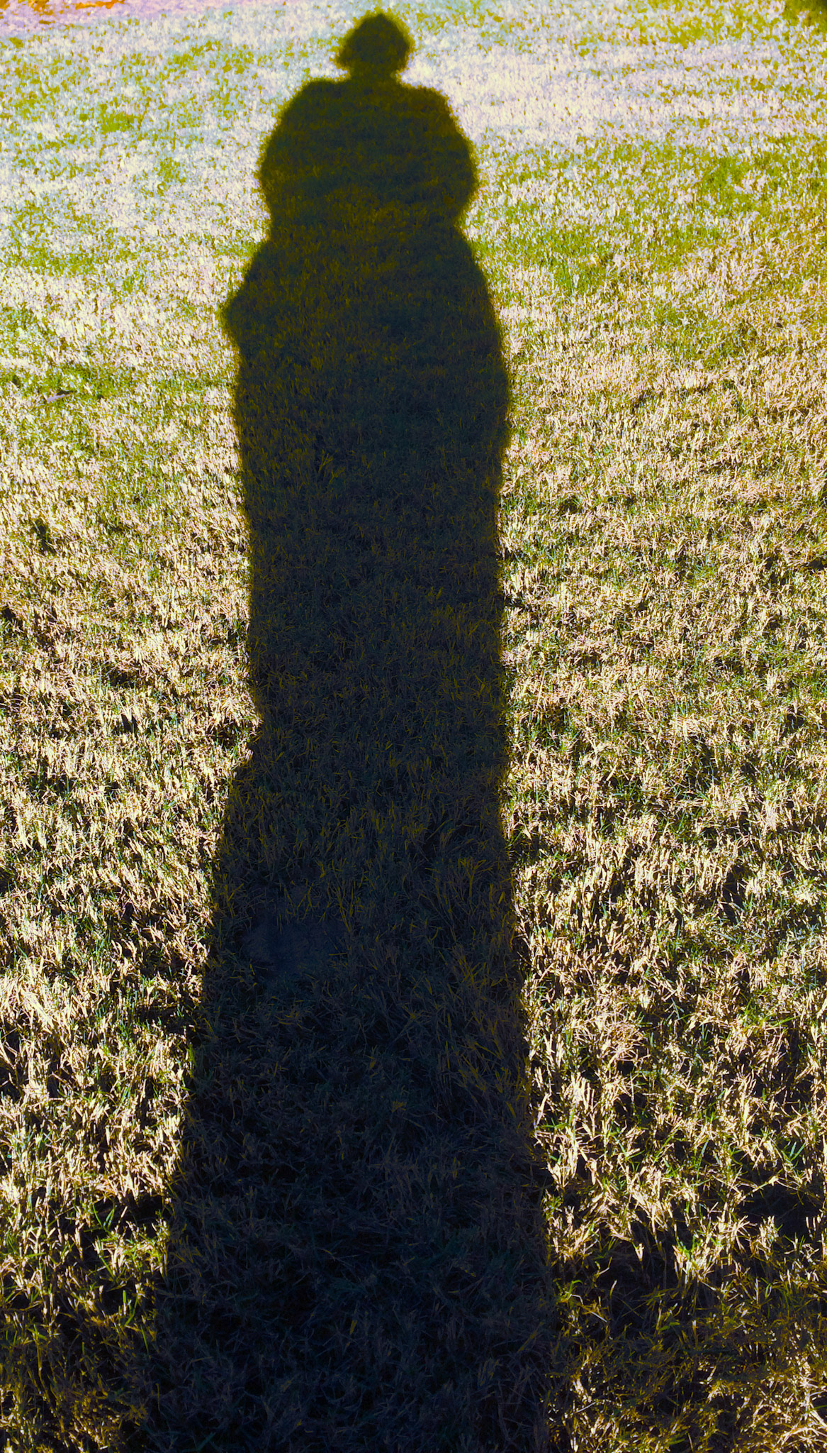 GRACIOUS GIFT Of LIFE—Live Long and Prosper