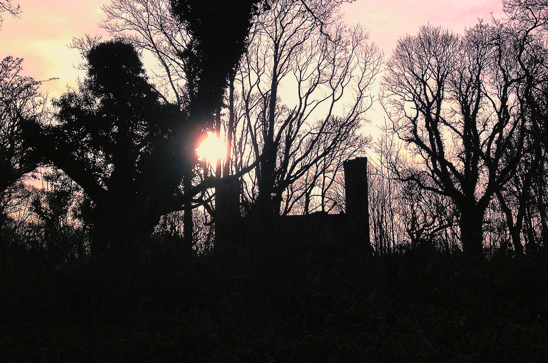 Memories of the Golden Time