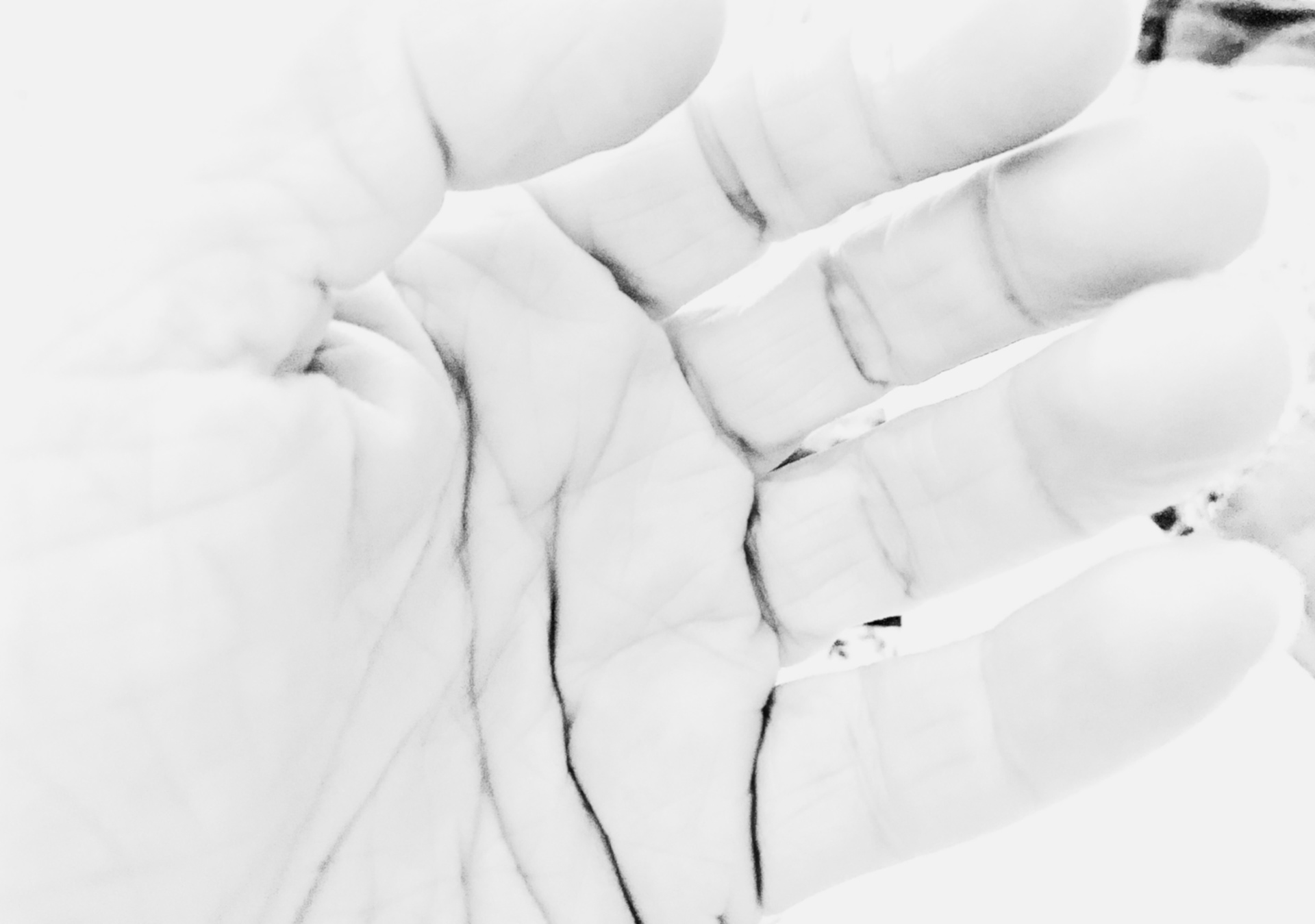 PALM PILOT—But Whose Hands Are These?