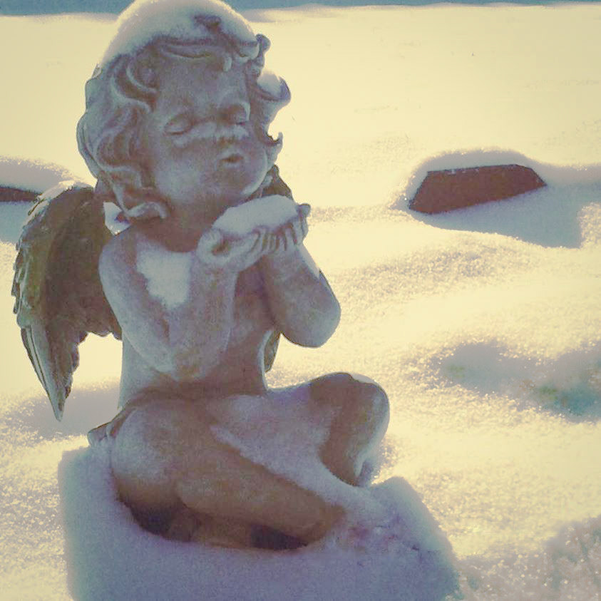 Winter Angel
