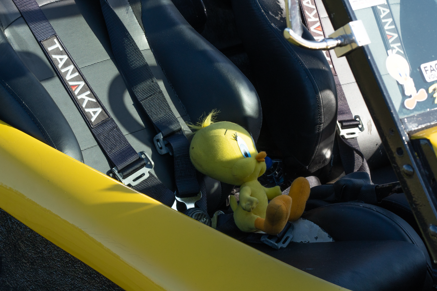 Tweety