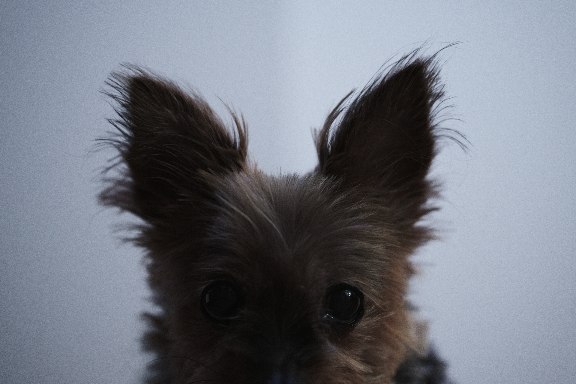 original photograph untouched
