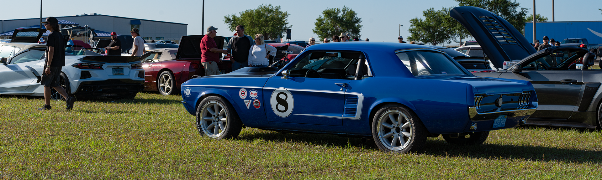 Favorite Stang...