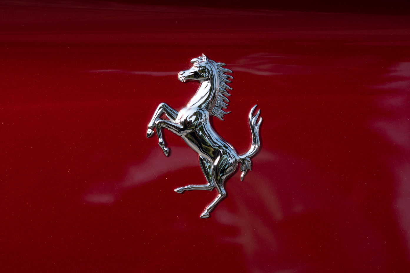 ...the horse