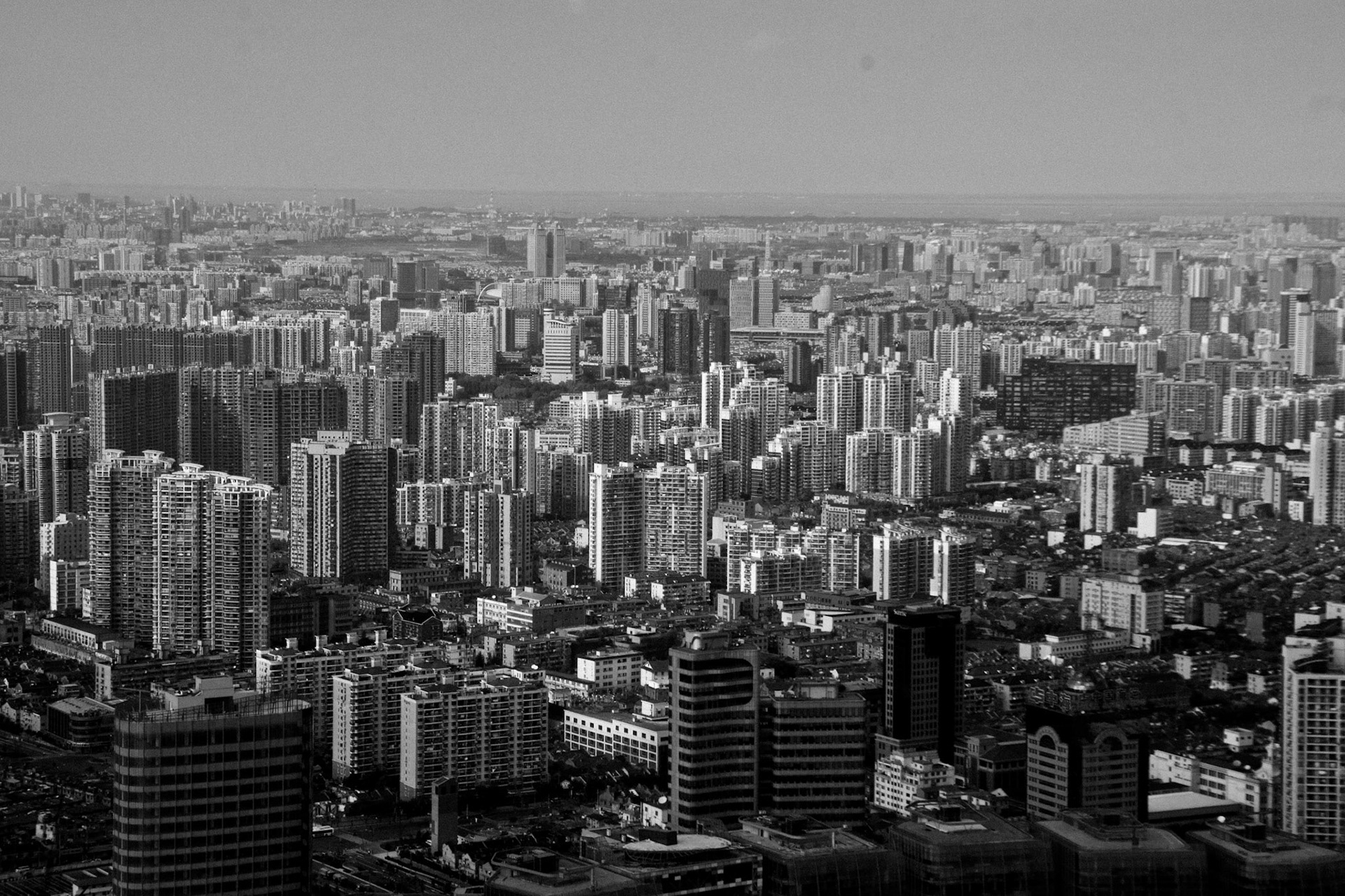 SONY DSC