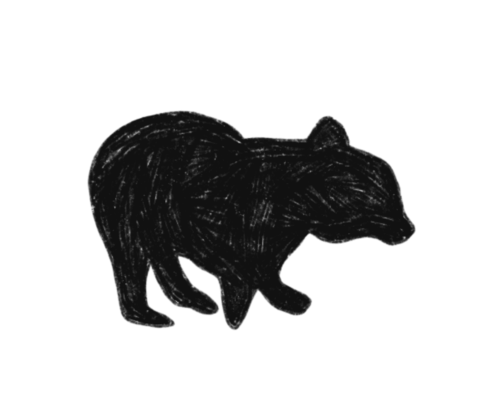 black bear illustration by Natalie Peralta 