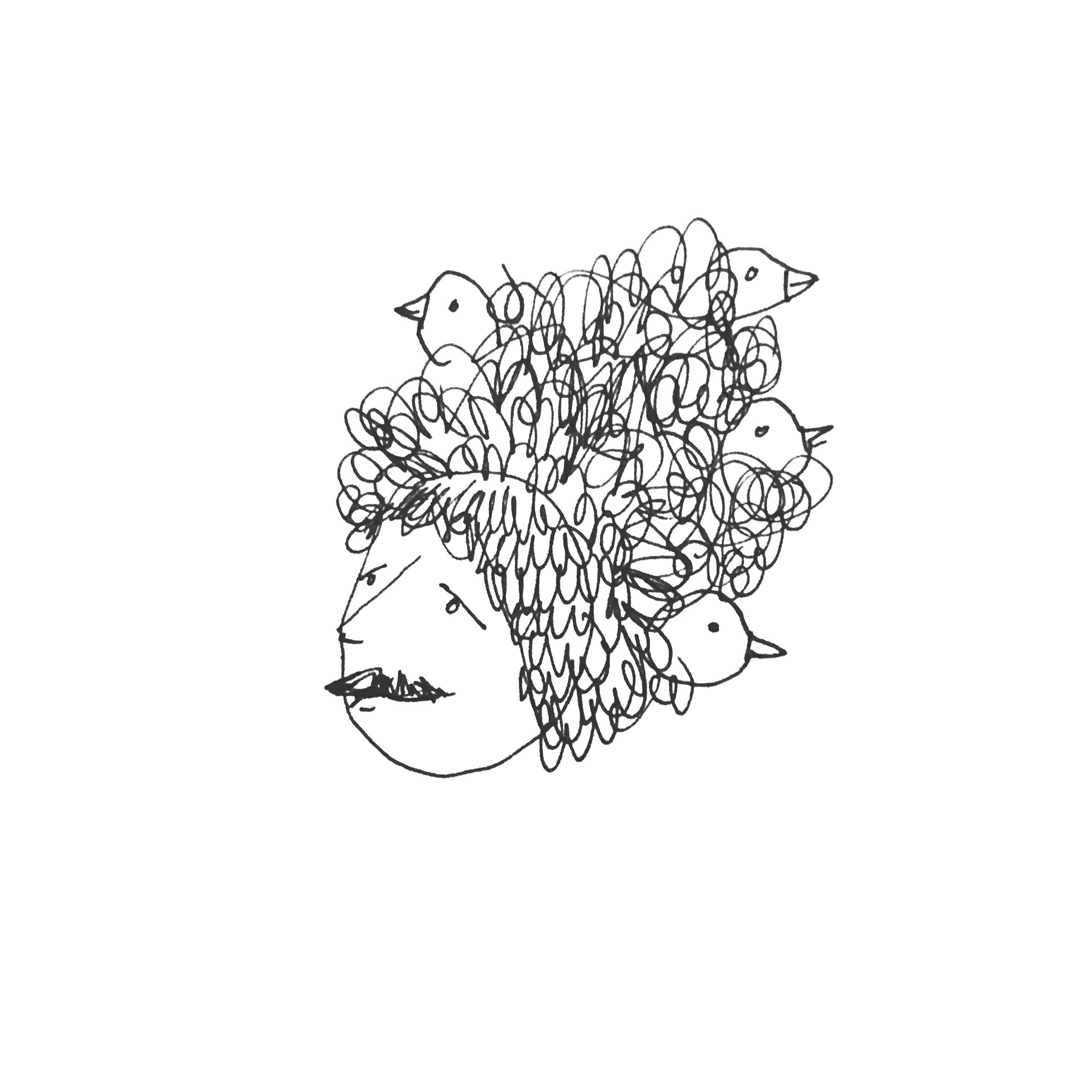 birds nest illustration by Natalie Peralta 