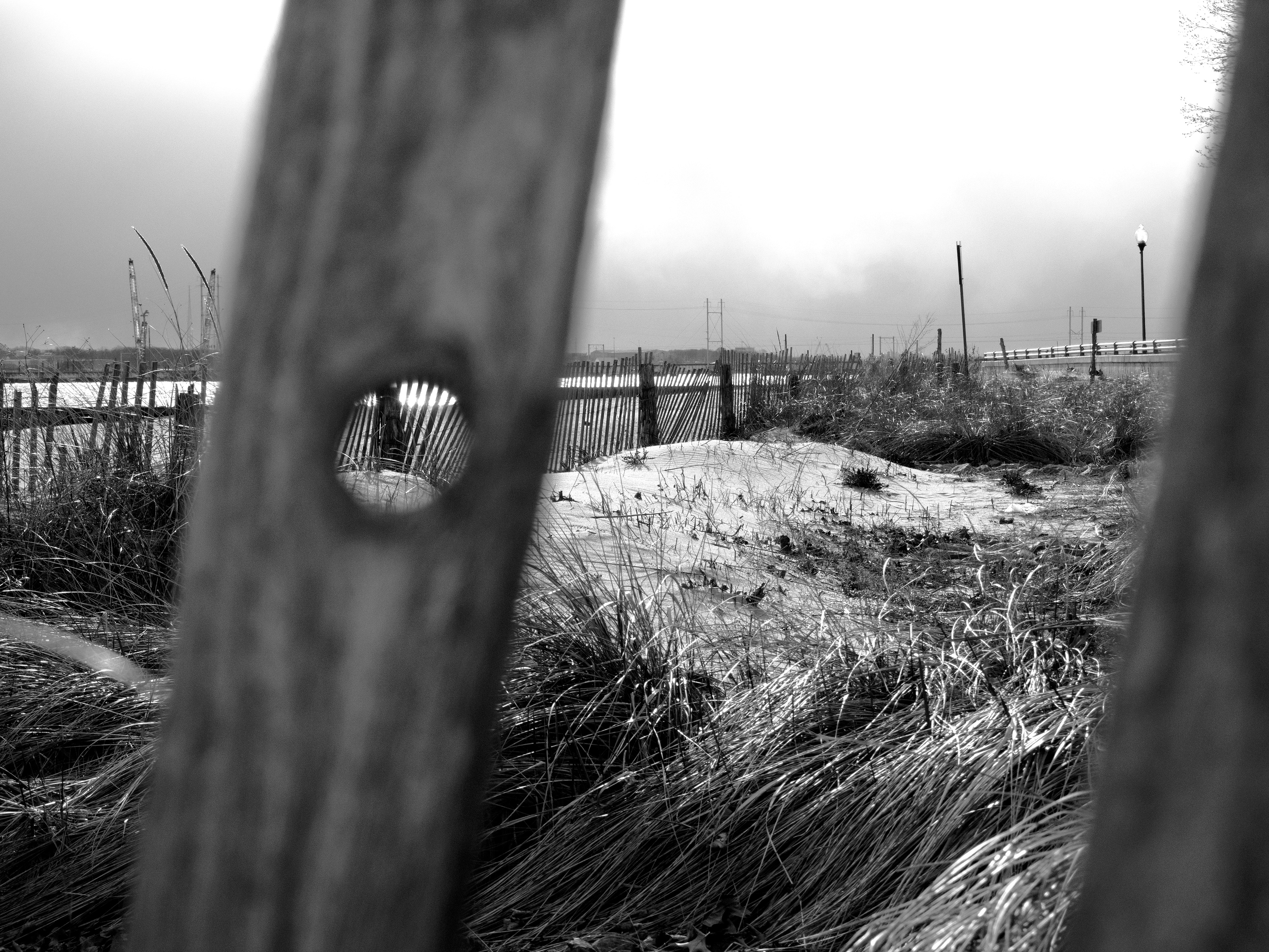 Color vs. Black and White