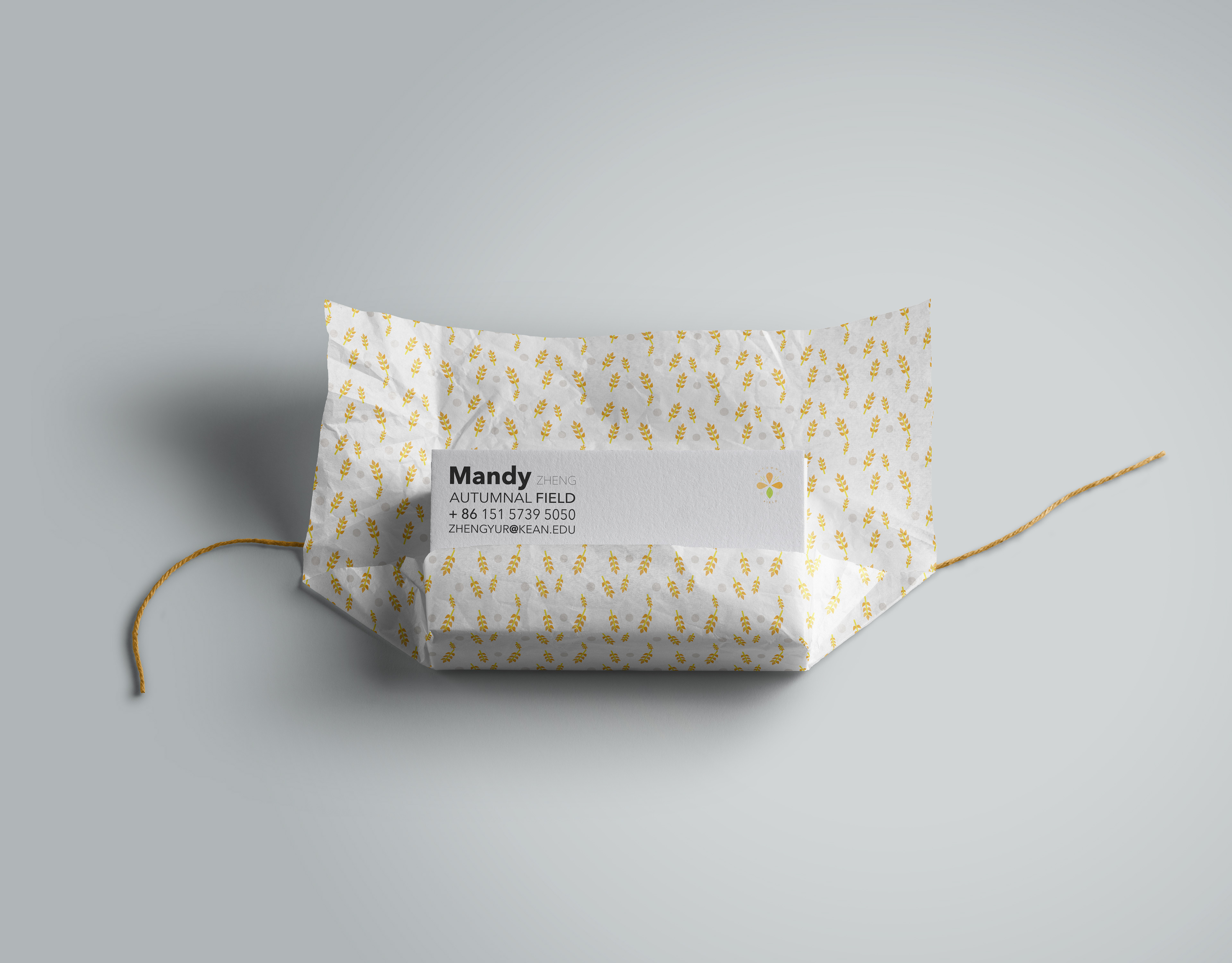Student: Mandy