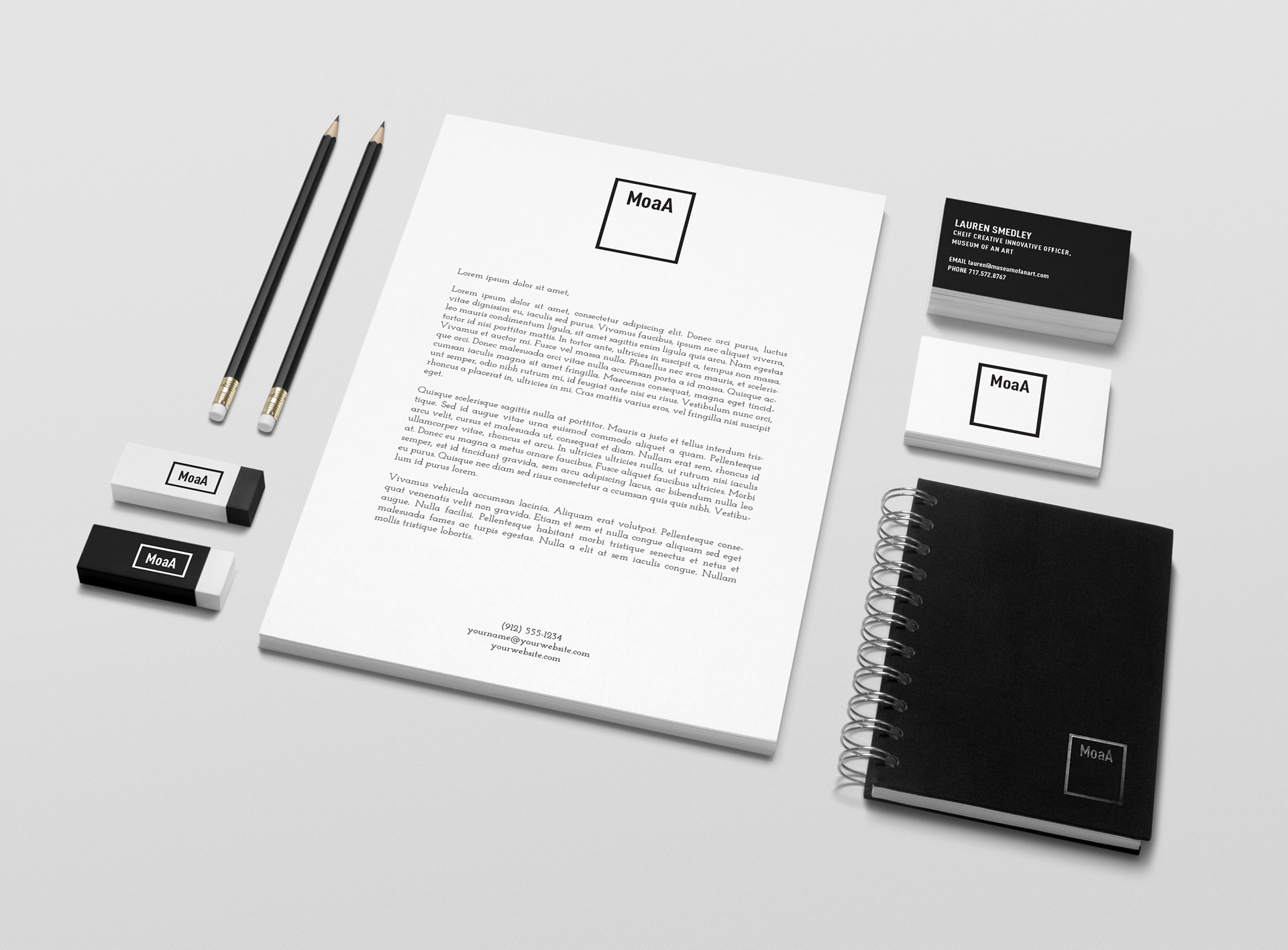 Museum of An Art - Satirical Branding
