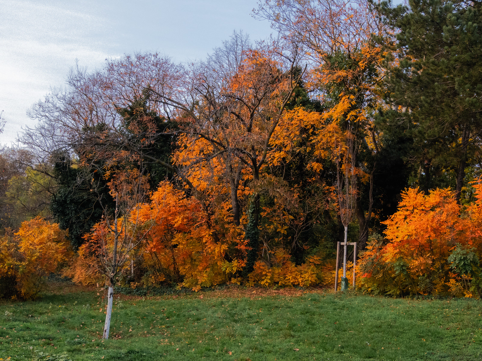 Herbststimmung