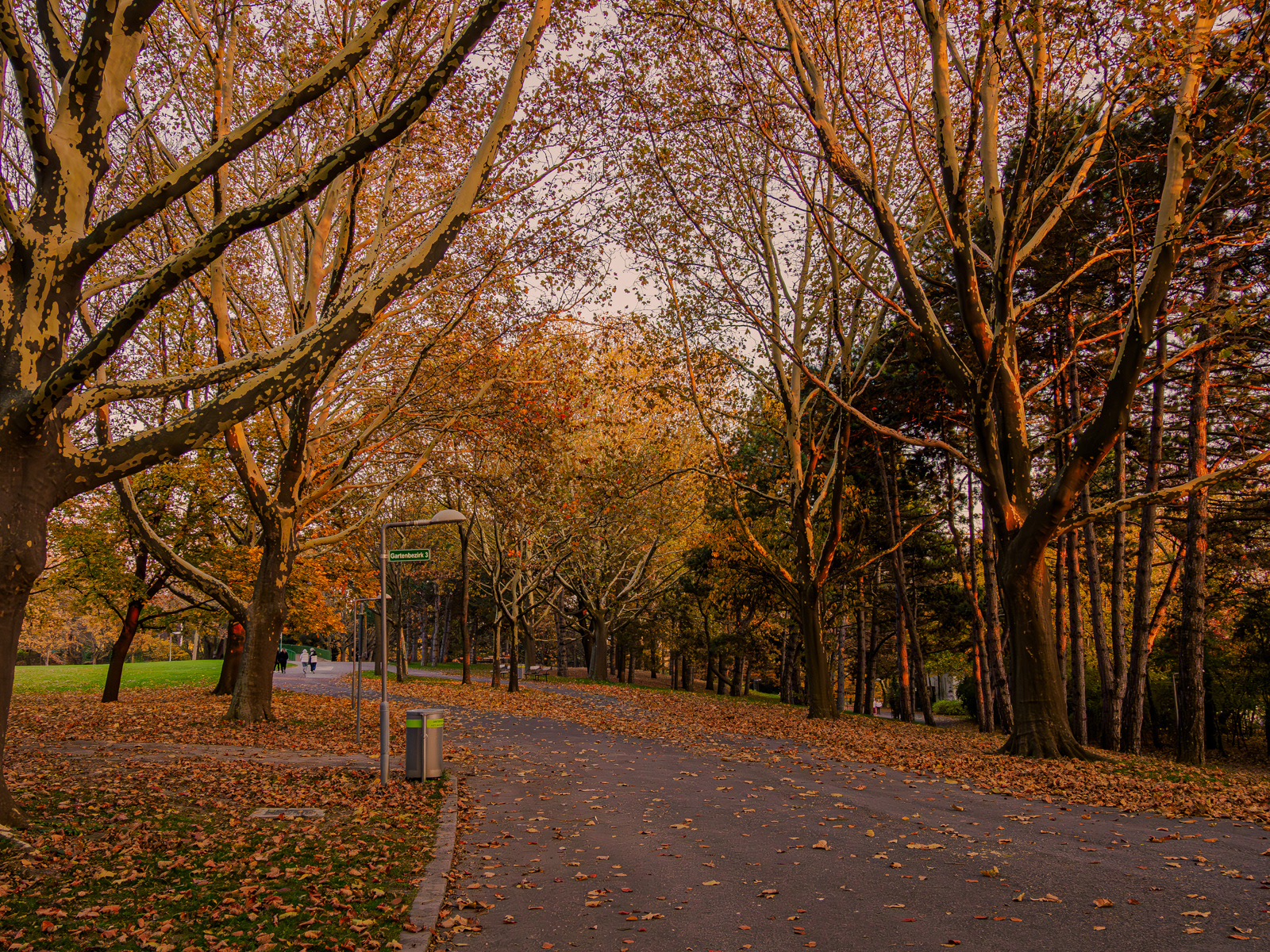Herbststimmung